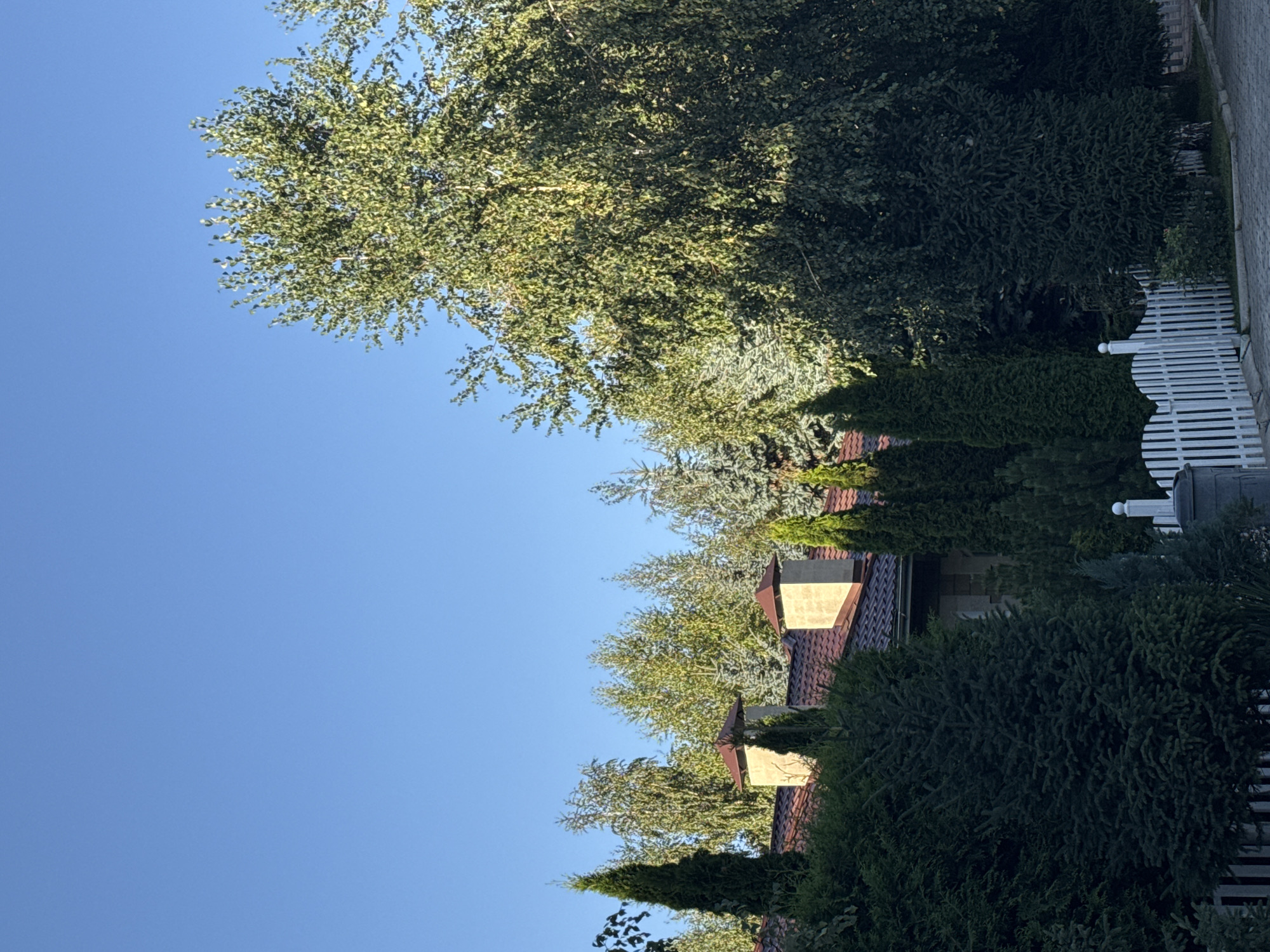 In Sary-Oy, Kyrgyzstan, a clear blue sky is visible above a residential area. A large, mature tree with lush green foliage dominates the right side of the frame, casting shadows over a house with a reddish-brown tiled roof and two prominent stone chimneys with copper caps. In front of the house, various evergreen trees, including tall, conical specimens and broader, bushier ones, create a dense, layered landscape. A white picket fence runs along the foreground, bordering a paved area. The scene suggests a tranquil, well-maintained property on a bright, sunny day.