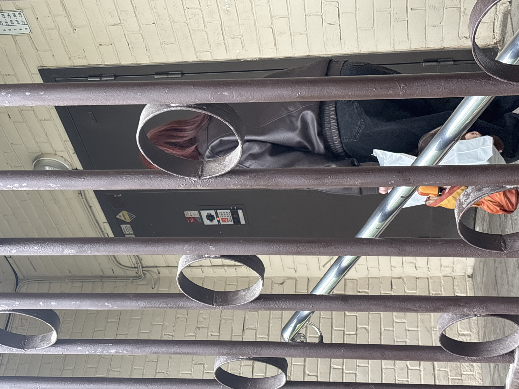 A medium shot, taken from below through brown metal railings, reveals a person outside a door in Novoe Devyatkino, Russia. The person, partially obscured by the railings, has red hair and is wearing a dark leather jacket and black jeans. The individual appears to be holding a white bag or package. The door is dark gray and has a keypad on the wall next to it. The background consists of a beige brick wall. The lighting suggests it is daytime. A ramp with silver railings extends upward behind the person.