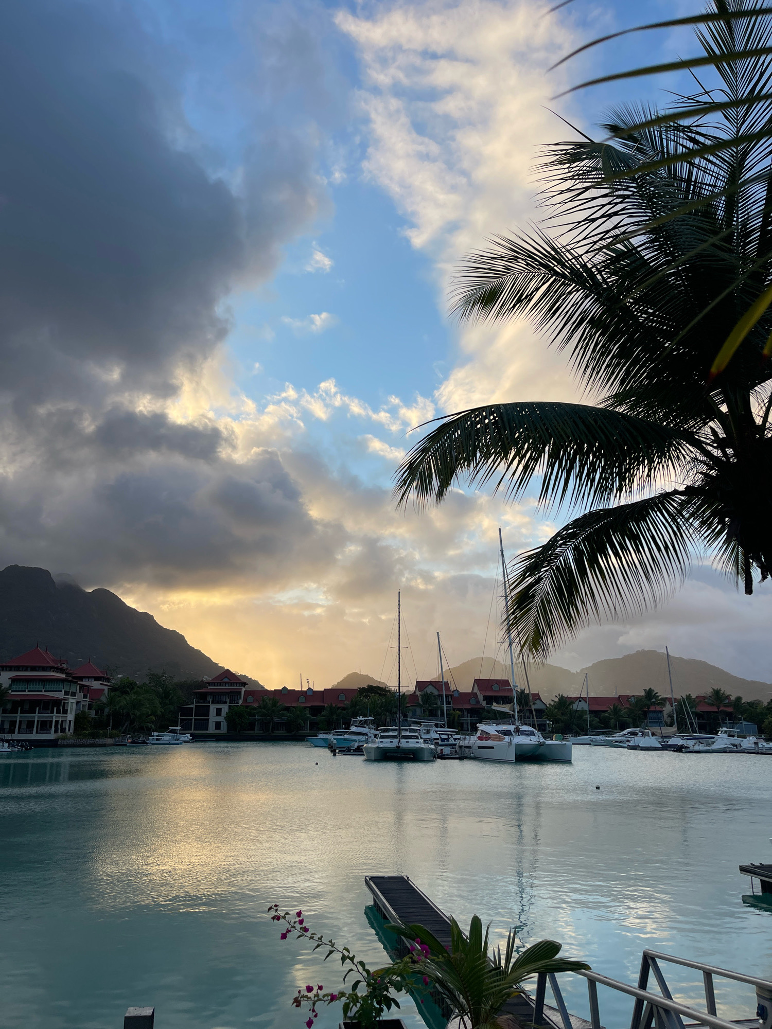 The image shows a serene waterfront scene at Providence, Seychelles, during what appears to be sunset or sunrise. The sky is a dramatic mix of dark, heavy clouds on the left, contrasting with patches of bright blue and scattered, illuminated clouds on the right, suggesting a transition in weather. In the foreground, the fronds of a palm tree hang from the right side of the frame, casting a silhouette against the sky.
Below the sky, a body of calm, turquoise water reflects the ambient light, with a shimmering pathway of gold where the sun's rays break through the clouds. Along the waterfront in the middle ground, a row of buildings with distinctive red-tiled roofs are visible, nestled amongst lush green trees. These buildings appear to be part of a resort or residential complex.
Moored in the water are several white sailboats and yachts of various sizes, their masts standing tall against the backdrop of the hills. A small wooden jetty extends from the bottom right of the image, with a set of metal railings and some greenery, including a plant with small pink flowers, growing near its base. In the far distance, rolling hills form a mountainous silhouette against the illuminated sky, adding depth to the landscape. The overall atmosphere is tranquil and picturesque, capturing the natural beauty of the Seychelles.