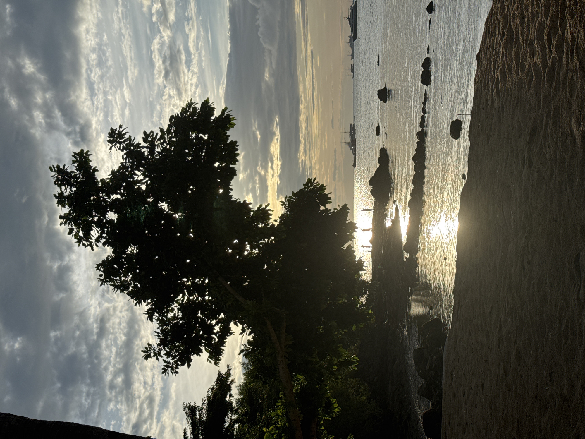 The image depicts a landscape view at sunset. A tree with lush foliage dominates the left side of the frame. The sky above is partially cloudy, with the sun's rays filtering through the clouds. To the right of the tree is the sea, reflecting the sunlight, with several boats visible in the distance. The foreground on the right features a landmass that seems to be beach sand. The location is suggested to be in the city of Unknown, Unknown.