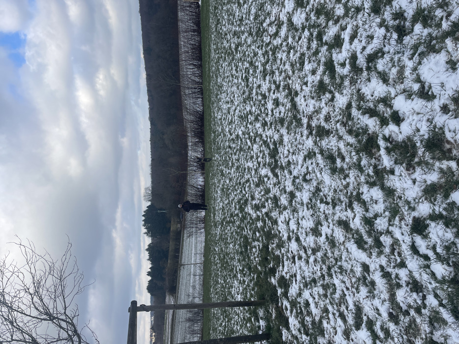 An outdoor scene in Itzig, Luxembourg, depicts a patchy snow-covered grassy field under an overcast sky. In the midground, a lone individual wearing a dark coat and a light-colored beanie walks right of center, facing to the right. A dark, medium-sized dog is positioned a short distance in front of the individual, also moving towards the right. Behind them, a horizontal row of dark, bare shrubs acts as a boundary to a snow-dusted field. Further back, a dense, dark forest line occupies the horizon. Two rustic wooden posts are visible on the far left edge of the foreground. The sky is predominantly grey with heavy clouds, exhibiting some lighter patches towards the upper right.