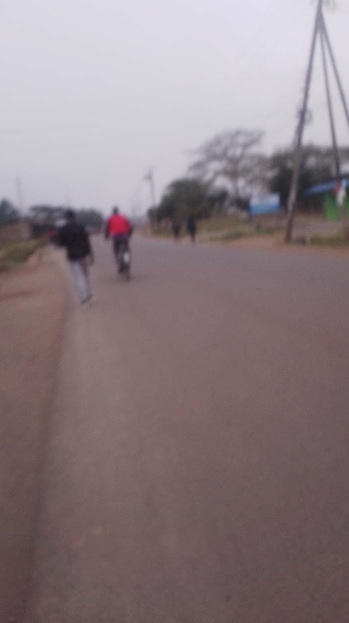 The image depicts a blurry scene on a road. A person is walking on the left side of the road, and another person is riding a bicycle slightly ahead of them. There's a figure walking further down the road. The background includes trees, buildings, and utility poles. The sky is overcast, suggesting either early morning or late afternoon light. The overall image quality is low due to blurriness.