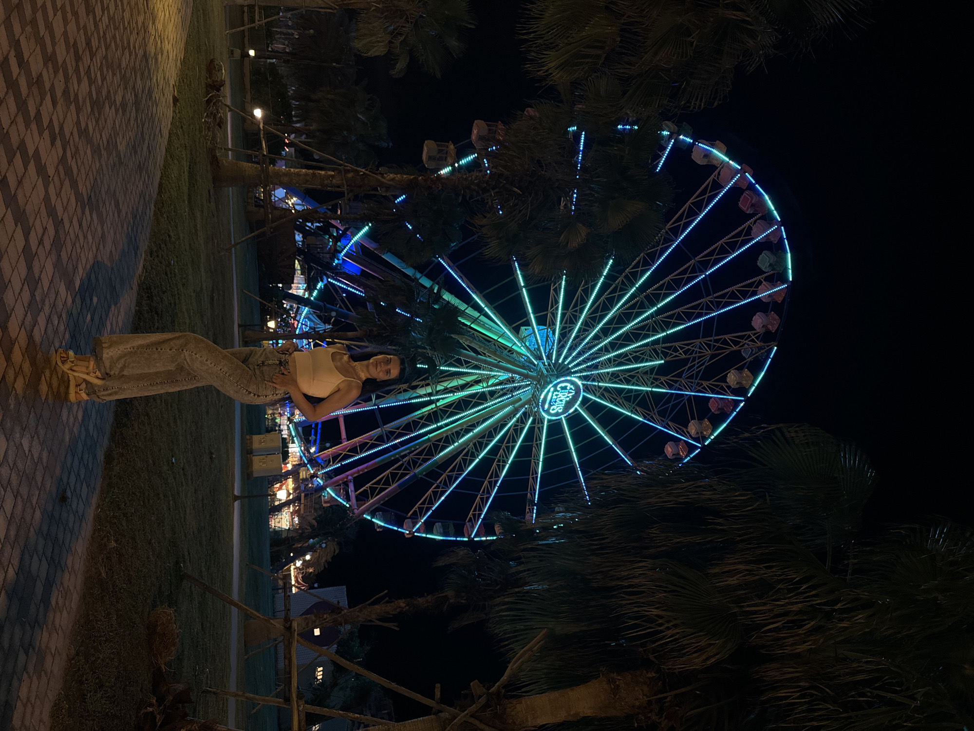 A young woman stands in front of a brightly lit Ferris wheel at night. The Ferris wheel is decorated with a vibrant display of blue and green lights. Palm trees frame the scene on either side, their fronds silhouetted against the dark sky. The ground in front of the woman is a patterned walkway made of interlocking bricks, and behind her is a grassy area with a few scattered lights. The woman is wearing a light-colored tank top, loose-fitting jeans, and light-colored sandals. She is posing with one hand on her hip and the other resting on her thigh. The Ferris wheel is the dominant element in the background, with its numerous spokes and colorful lights creating a dynamic visual. The overall impression is one of a lively amusement park or entertainment venue. This scene is located in Tien Thanh Ward, Vietnam.