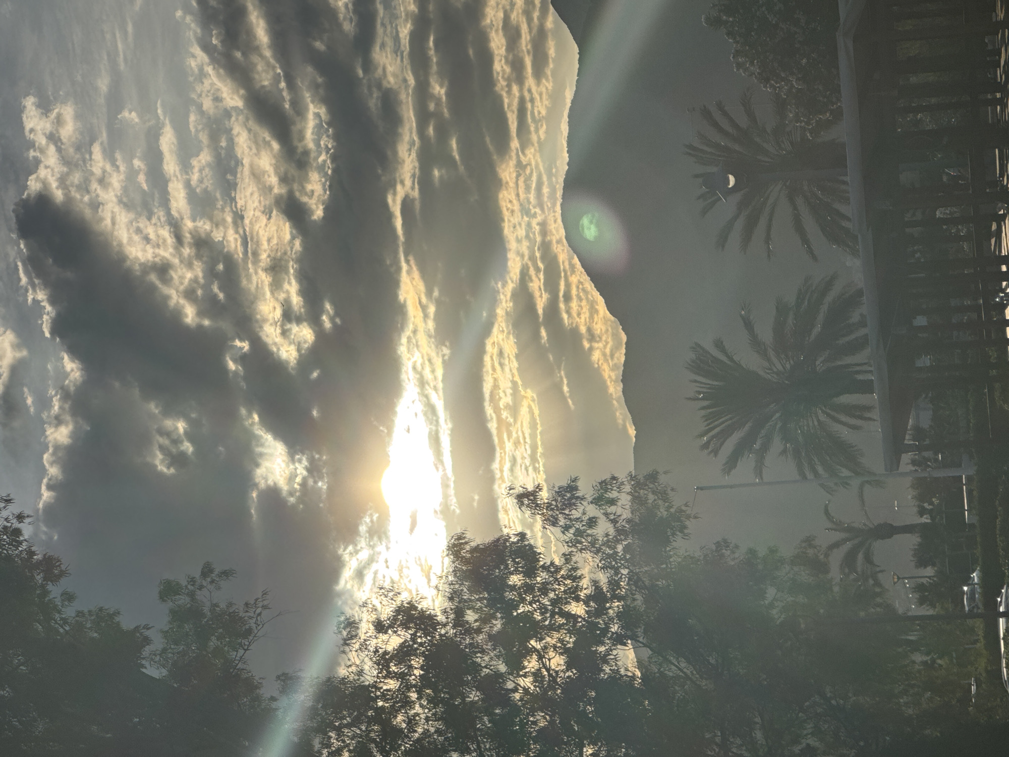 The image depicts a landscape scene captured in the city of Tivat, Montenegro, under a partially cloudy sky during either sunrise or sunset. The sun, positioned on the upper left, is partially obscured by dark grey and golden-white illuminated clouds, casting prominent sun rays and lens flares across the frame. A range of mountains forms the silhouette in the mid-ground, with a distinct green lens flare appearing on the slope of the central mountain. The foreground and mid-ground feature various vegetation: a large, dark-leafed tree occupies the left side, and multiple palm trees are visible towards the right. A white streetlamp stands upright near the center-right, and a dark, covered structure, possibly an outdoor seating area, is situated in the lower right. In the distant background, faint indications of urban infrastructure, including what appear to be streetlights and parked vehicles, are discernible. No identifiable individuals or specific actions are visible. The overall lighting suggests strong backlighting, creating a dramatic atmospheric effect.