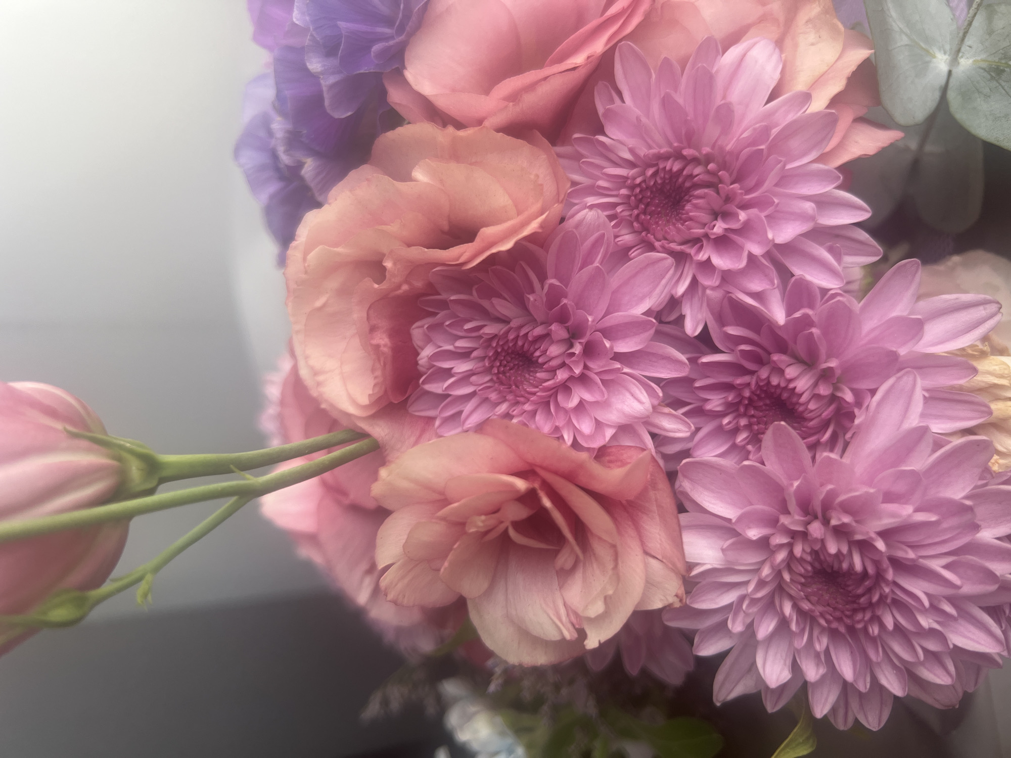 A close-up, low-angle shot captures a bouquet of flowers, primarily in shades of pink, peach, and purple. The bouquet is centrally framed, with several layers of petals creating a soft, textured appearance. Prominently featured are vibrant pink chrysanthemums with dense, layered petals, and larger, softer peach-colored blooms that appear to be roses or lisianthus, showcasing delicate folds. In the background, blurred purple flowers and hints of greenery add depth. The lighting is soft and diffused, creating a dreamy, ethereal atmosphere. The image provides no context of location within Hadera, Israel or any discernible environmental elements beyond the flowers themselves. There are no people, actions, or interactions depicted.