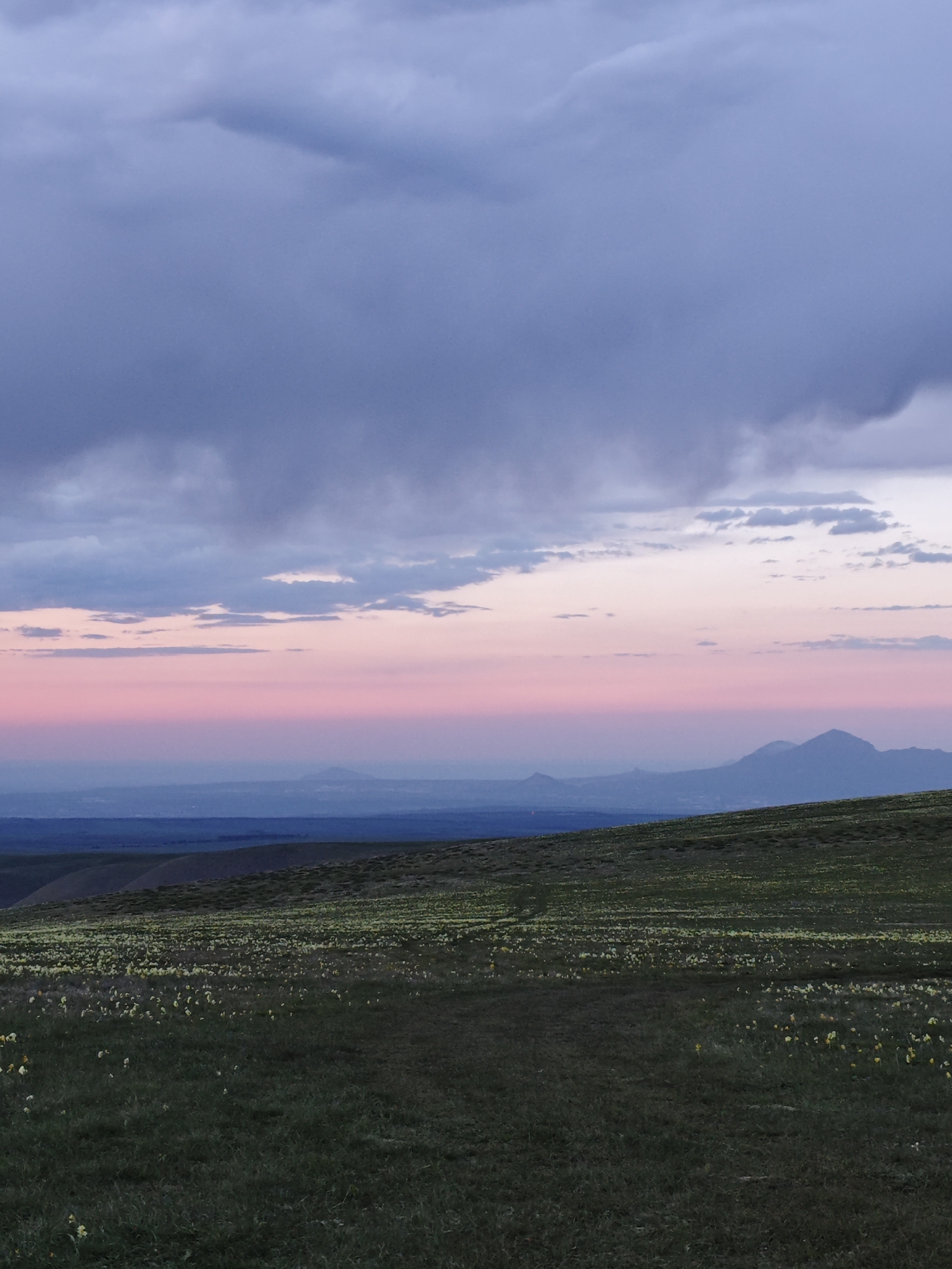 The image depicts a landscape at dusk in what appears to be a rural area near the city of Kichmalka, Russia. In the foreground, a grassy field stretches towards the horizon, dotted with sparse yellow wildflowers. A worn path is faintly visible through the grass. Beyond the field, a dark line of trees or a slight elevation change suggests a boundary. Further in the distance, a hazy expanse indicates a valley or plain, with distant mountains visible on the horizon. Above, the sky is a blend of hues, with dark gray storm clouds dominating the upper portion. Below the clouds, a band of pink and lighter gray clouds suggests a recent or upcoming sunset. There are no people or animals visible in the scene. The overall impression is one of a tranquil, sparsely populated area experiencing a transition in weather.