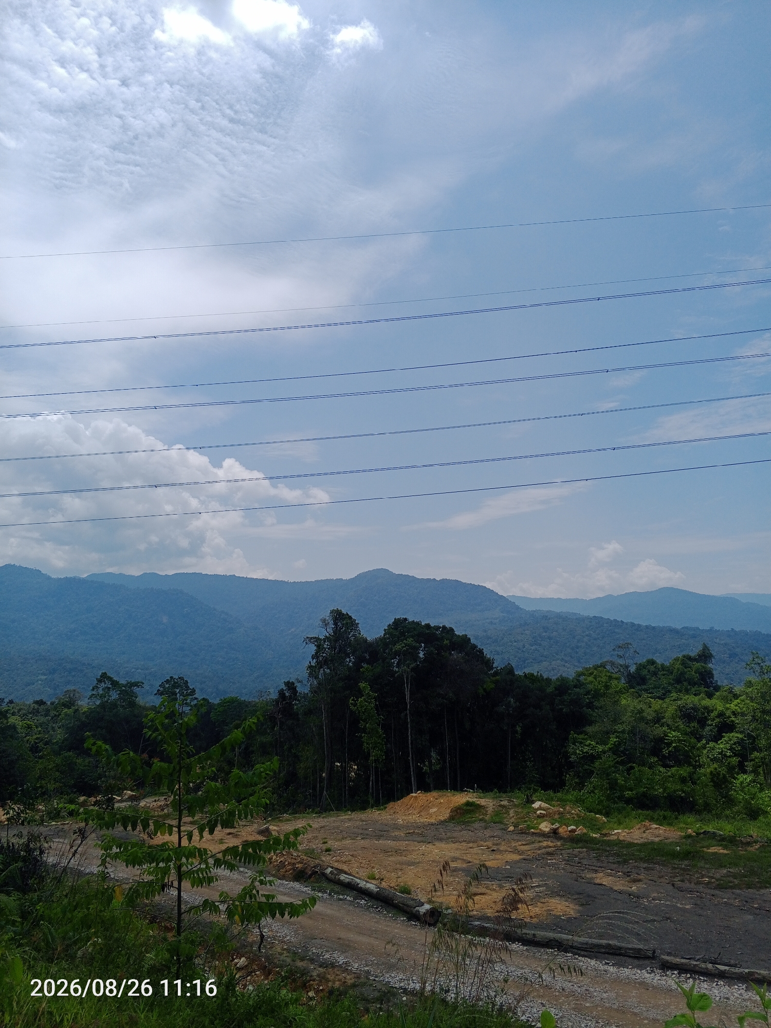 This is a landscape photograph taken outdoors in a rural area of Malaysia. The image features a vast, layered mountain range in the background, covered in dense green forests that fade into a hazy blue in the distance. In the foreground, there is a cleared area with dirt paths and some scattered logs, suggesting recent human activity or construction. A young tree with green leaves stands prominently in the middle ground, surrounded by various types of vegetation. Overhead, the sky is a clear blue with scattered white clouds, and several parallel power lines stretch horizontally across the frame. The bottom left corner of the image displays a timestamp: "2026/08/26 11:16".