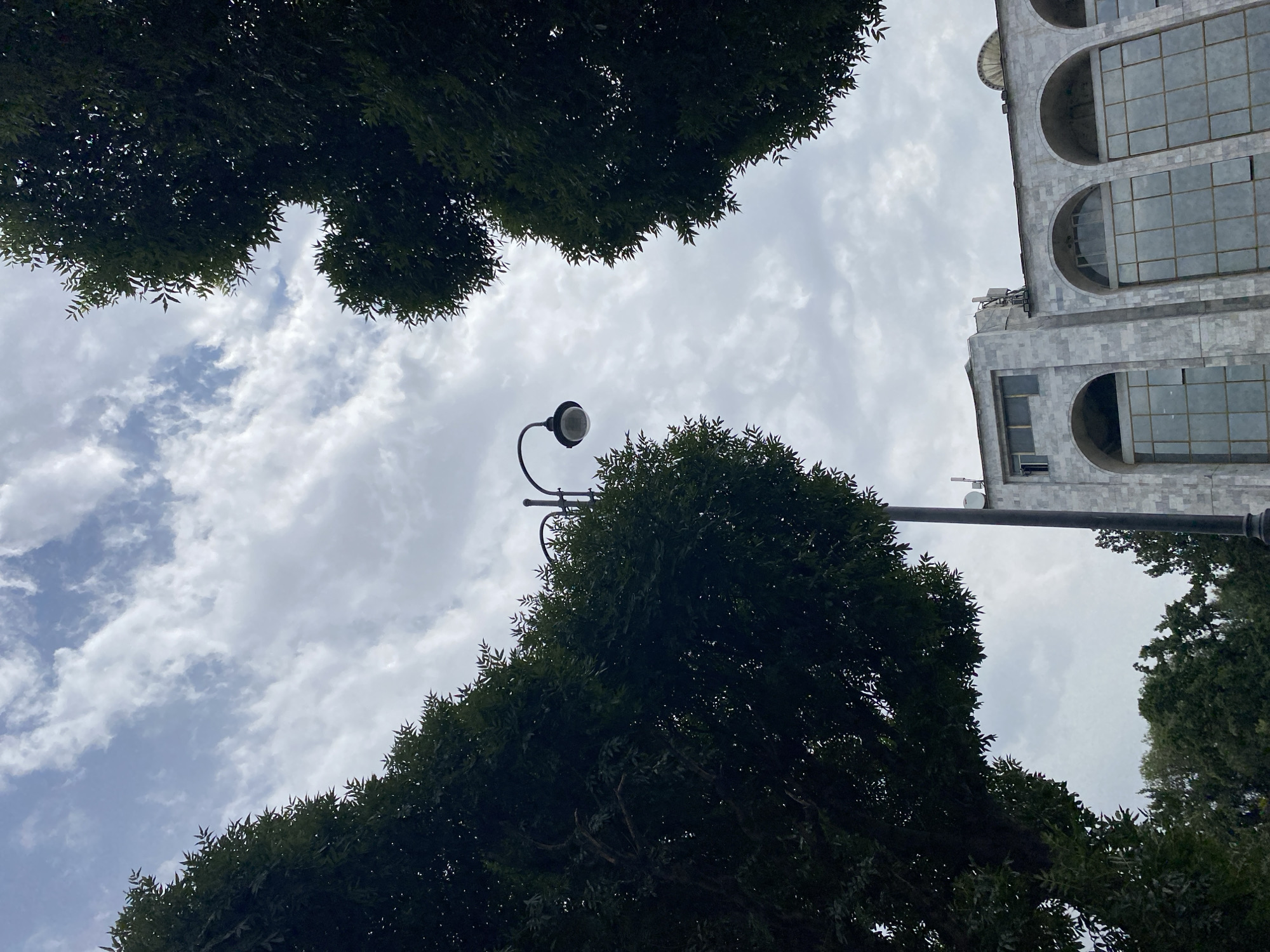 The photograph, taken from a low angle, showcases a cloudy sky with intermittent patches of blue. Two large, dark green trees frame the scene, one on the left and one on the right, their foliage creating a natural archway. In the center, a black lamppost with a single light fixture stands tall, its curved arm reaching towards the sky. Below the lamppost, the upper section of a light-colored, marble-clad building is visible. The building features a series of arched windows on its upper floors, some of which are partially obscured by the trees. The architecture suggests a public or governmental building. The overall impression is one of an urban setting, possibly a park or a street lined with trees and distinguished architecture, under a somewhat overcast sky. The location is identified as Bishkek City, Kyrgyzstan.