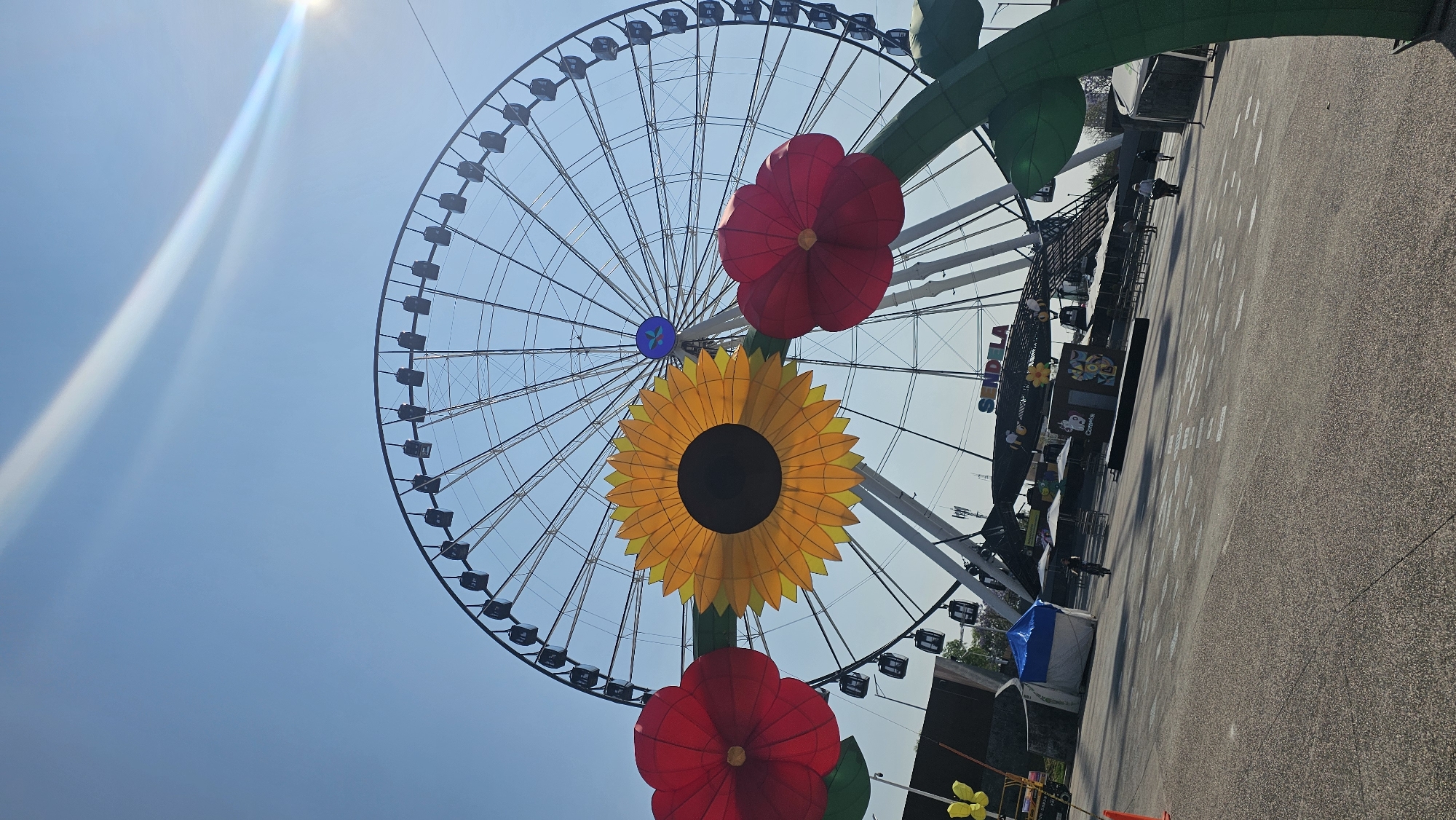 The scene presents a Ferris wheel under a bright, clear sky, possibly in the city of Puebla, Mexico. The Ferris wheel is the dominant feature, viewed from a low angle that emphasizes its size and circular structure. In the foreground are large decorative flowers – a sunflower in the center and red flowers above and below it. These flowers appear to be part of the attraction's decoration. The ground is a paved surface, likely a walkway or public space surrounding the amusement area. In the background, other structures and elements associated with an amusement park or fairground are partially visible.