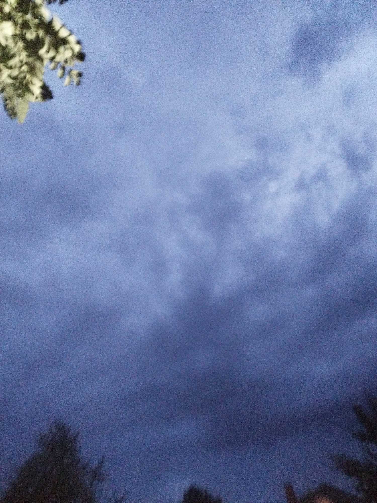The image shows a dark, cloudy sky, possibly at dusk or during stormy weather. In the upper left corner, a branch with light-colored leaves is visible, appearing somewhat blurred. In the lower part of the image, silhouetted trees and the tops of buildings are faintly discernible against the dark sky. The overall impression is one of a natural landscape set against a backdrop of atmospheric conditions. There are no people, specific actions, or interactions visible in the image. The image does not contain any recognizable landmarks or details that would allow for its specific location within the city of Oskemen, Kazakhstan to be identified.