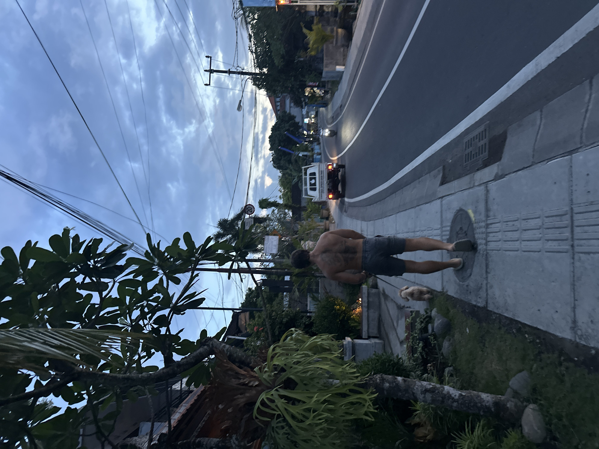 The image depicts an outdoor street scene in North Kuta, Indonesia, at dusk or early evening, under a cloudy, overcast sky. The primary subject is a man, viewed from behind, walking a small, light-colored dog on a leash along a concrete sidewalk. The man is shirtless, wearing dark shorts and sandals, with tattoos visible on his upper back and shoulders. The dog walks closely beside his right leg.
To the right of the sidewalk, an asphalt road curves gently, marked with white lines. A white pickup truck and what appears to be a motorcycle are visible further down the road, with their lights beginning to illuminate the dimming environment. Overhead, a dense network of power lines stretches across the sky, connected to utility poles lining the street.
The left side of the scene is characterized by abundant, lush tropical vegetation, including large-leafed trees, possibly frangipani, and a prominent staghorn fern attached to a tree trunk in the foreground. Buildings are partially obscured by this greenery. The sidewalk features sections of textured paving, likely tactile indicators. A storm drain grate is visible between the road and the sidewalk curb. No distinct or readable text is visible on any signs or objects within the frame.