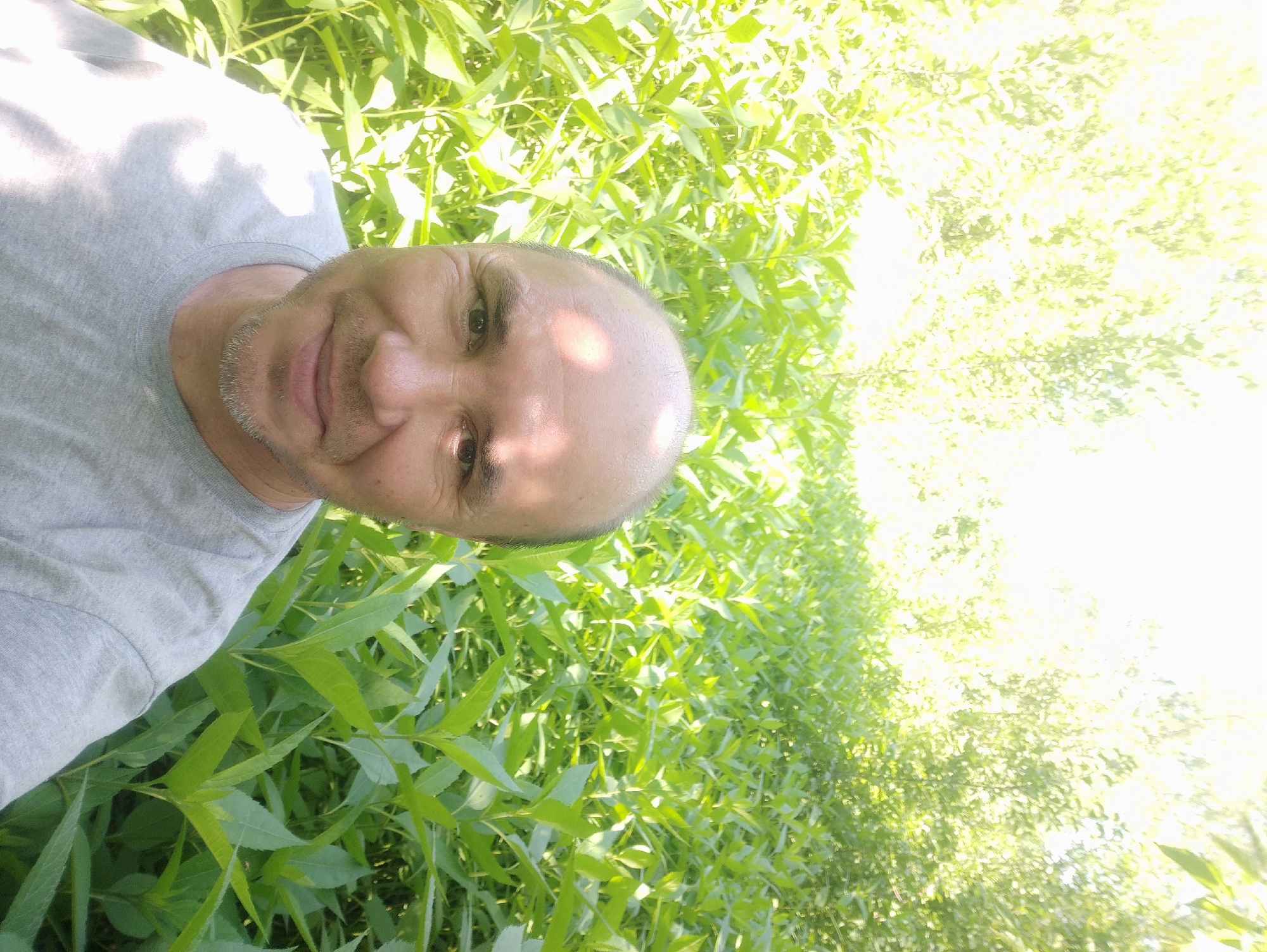 A middle-aged man with a shaved head and stubble smiles at the camera, wearing a grey t-shirt. He is outdoors, surrounded by dense green foliage, with trees visible in the background. The lighting suggests it is daytime and sunny, with bright light filtering through the leaves. There are no other people or objects of note in the image.