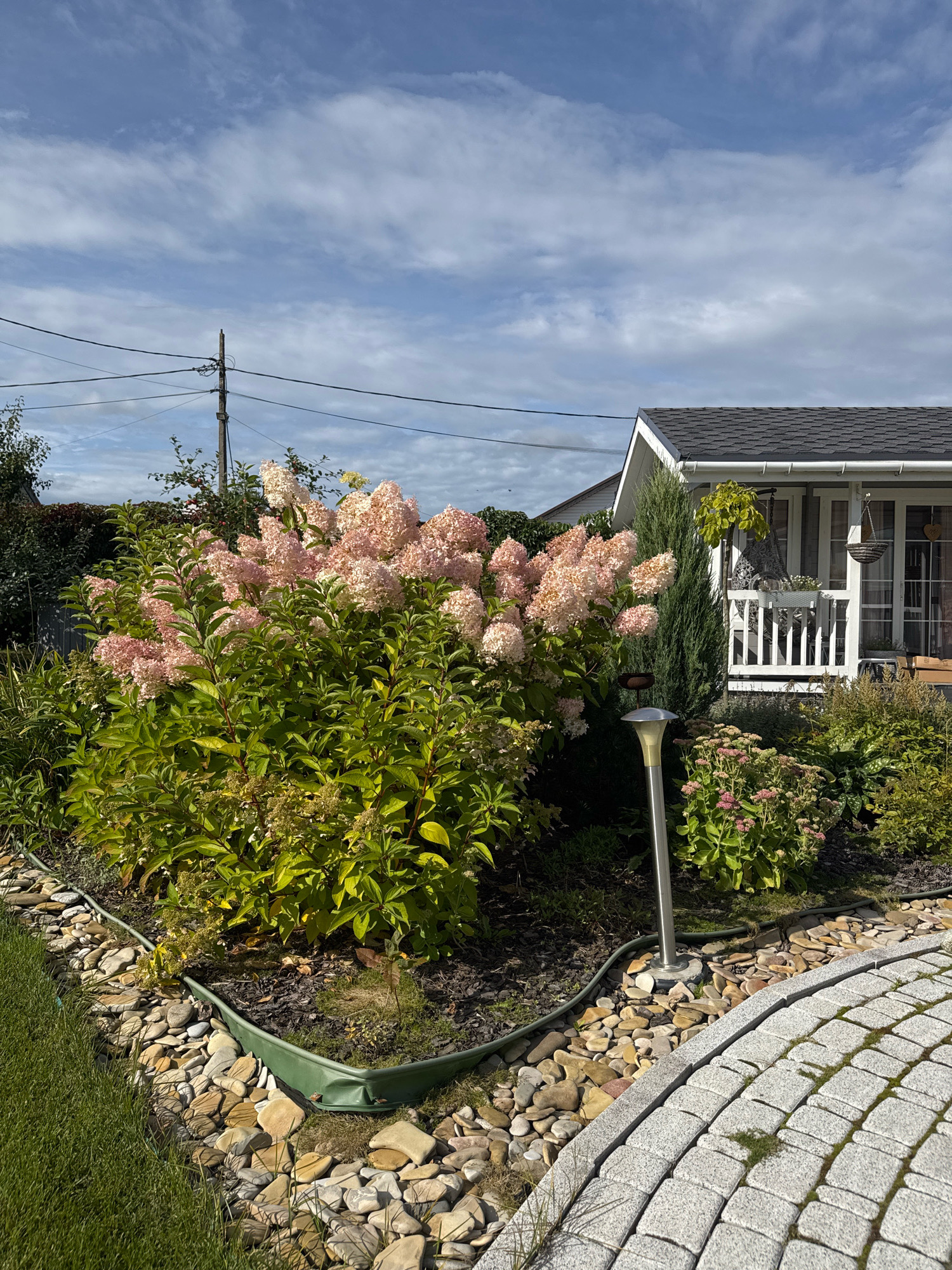 This is a full-frame, eye-level, outdoor, natural light photograph of a residential garden in the city of Oliki, Russia. The scene features a large hydrangea bush with pink and white blossoms in the foreground, to the left of a tall, slender evergreen tree. Adjacent to the tree and in front of a white-sided building with a dark shingled roof, there is a low-lying plant with pink flowers and a modern-style garden lamp. The garden is bordered by a pathway made of light gray interlocking pavers on the right, and a border of natural stones and mulch surrounding the plants. A section of green lawn is visible on the far left. Power lines and a utility pole are present in the background, with a partly cloudy blue sky overhead. There are no people or animals visible in the image.