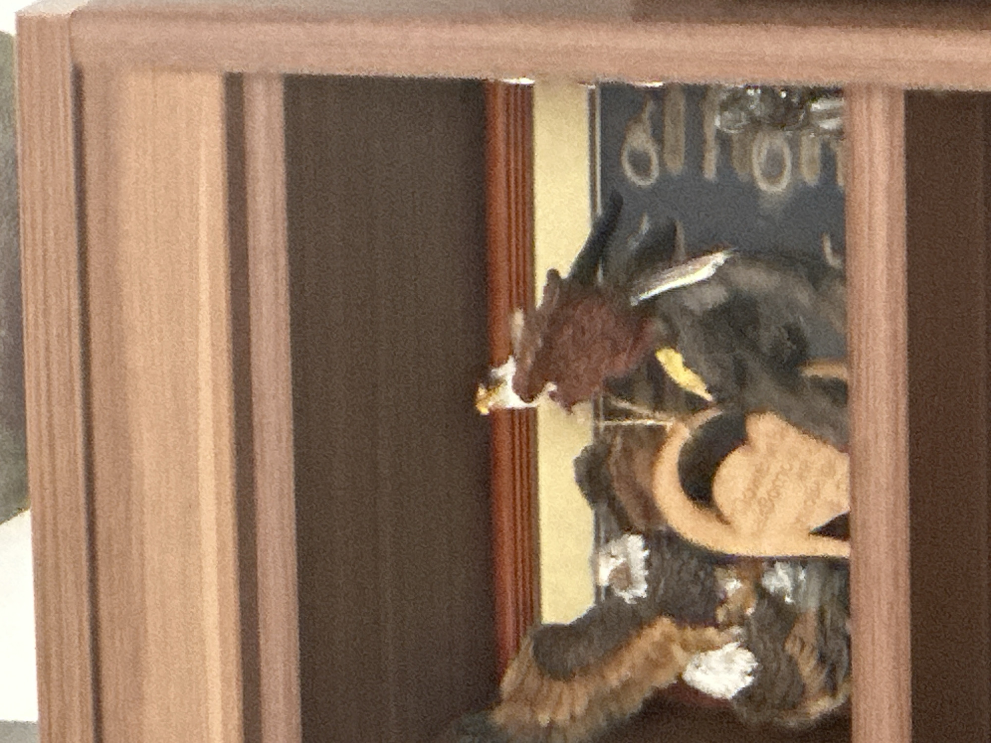 The image shows a cuckoo clock behind a wooden frame. The clock features a carved bird, possibly an eagle, and intricate details. Behind the clock, there is a partially visible wall or interior with writing or designs. The overall setting suggests an interior space. Information about the location in Sofia, Bulgaria, is not discernible from the image.