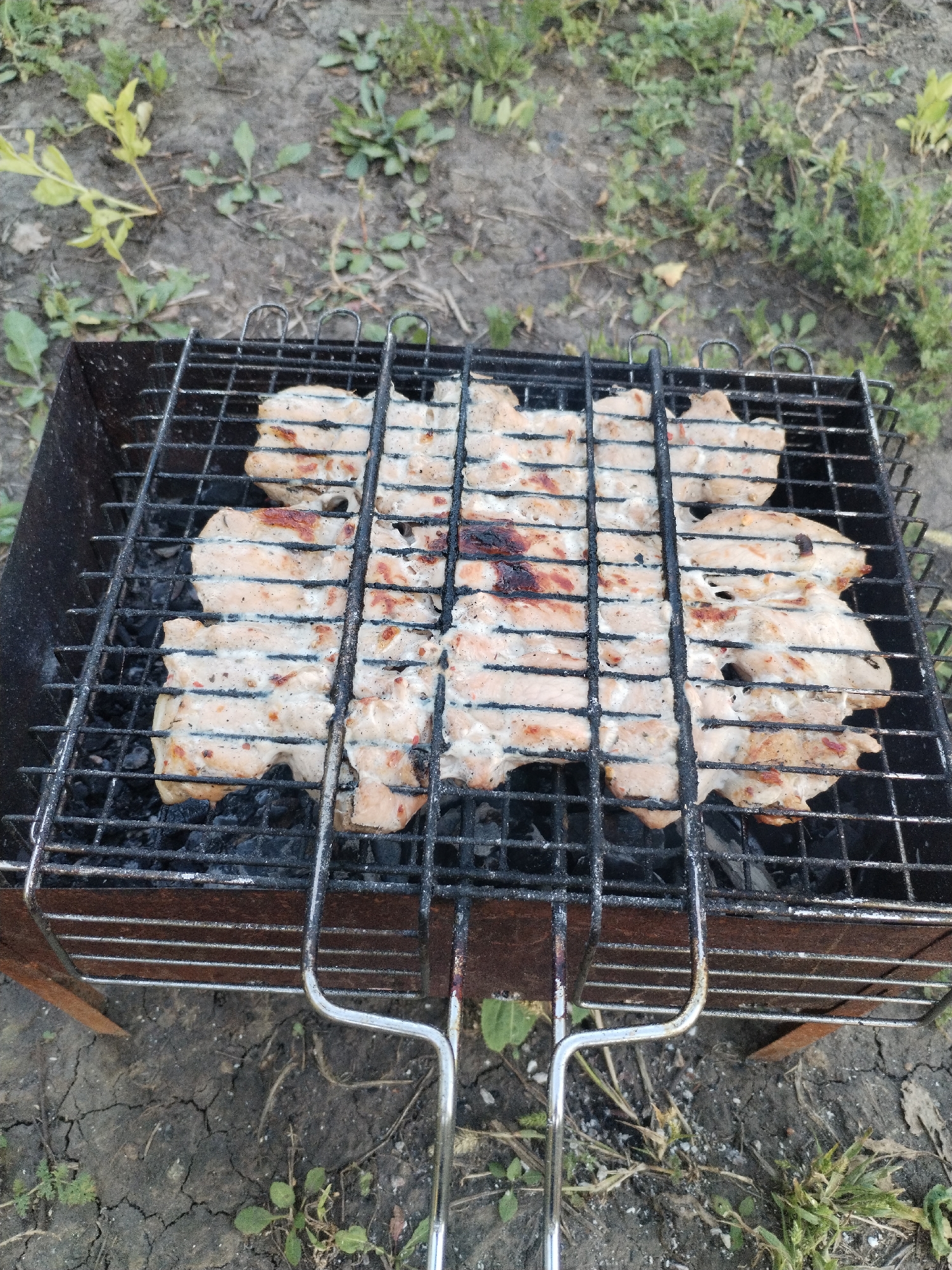 In Novoomsky, Russia, pieces of seasoned meat are grilling on a black metal grate over hot coals in a portable charcoal grill. The grill is situated on dry, cracked earth amidst sparse green vegetation. The meat, appearing light pink with some charring and visible seasoning, is arranged in a grid pattern. The grill has two handles, one of which is visible in the foreground. The overall setting suggests an outdoor cooking environment.