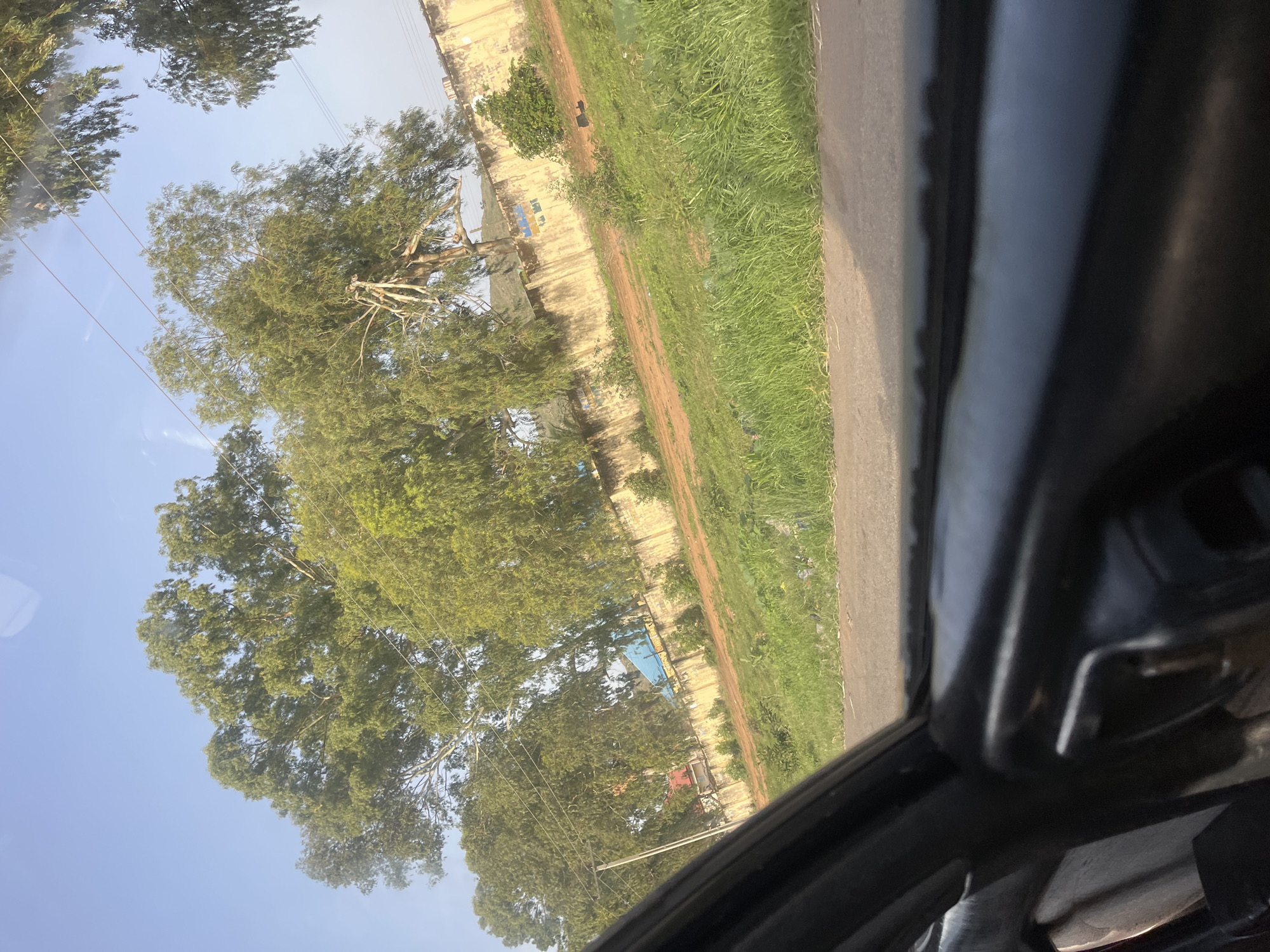 The image shows a view from inside a vehicle, looking out at a street scene in Kuru Dungus, Nigeria. Tall trees with green foliage dominate the upper portion of the image, with a clear blue sky visible. A cream-colored wall runs horizontally across the middle ground, with some vegetation growing on and around it. Beyond the wall, hints of buildings and structures can be seen. The foreground is occupied by the interior of the car, including the door panel and window frame, obscuring the lower part of the scene. A paved road is visible in the lower right quadrant, with a strip of green grass next to it. The overall impression is of a rural or semi-urban environment with abundant vegetation. There are no people or animals visible in the frame.
