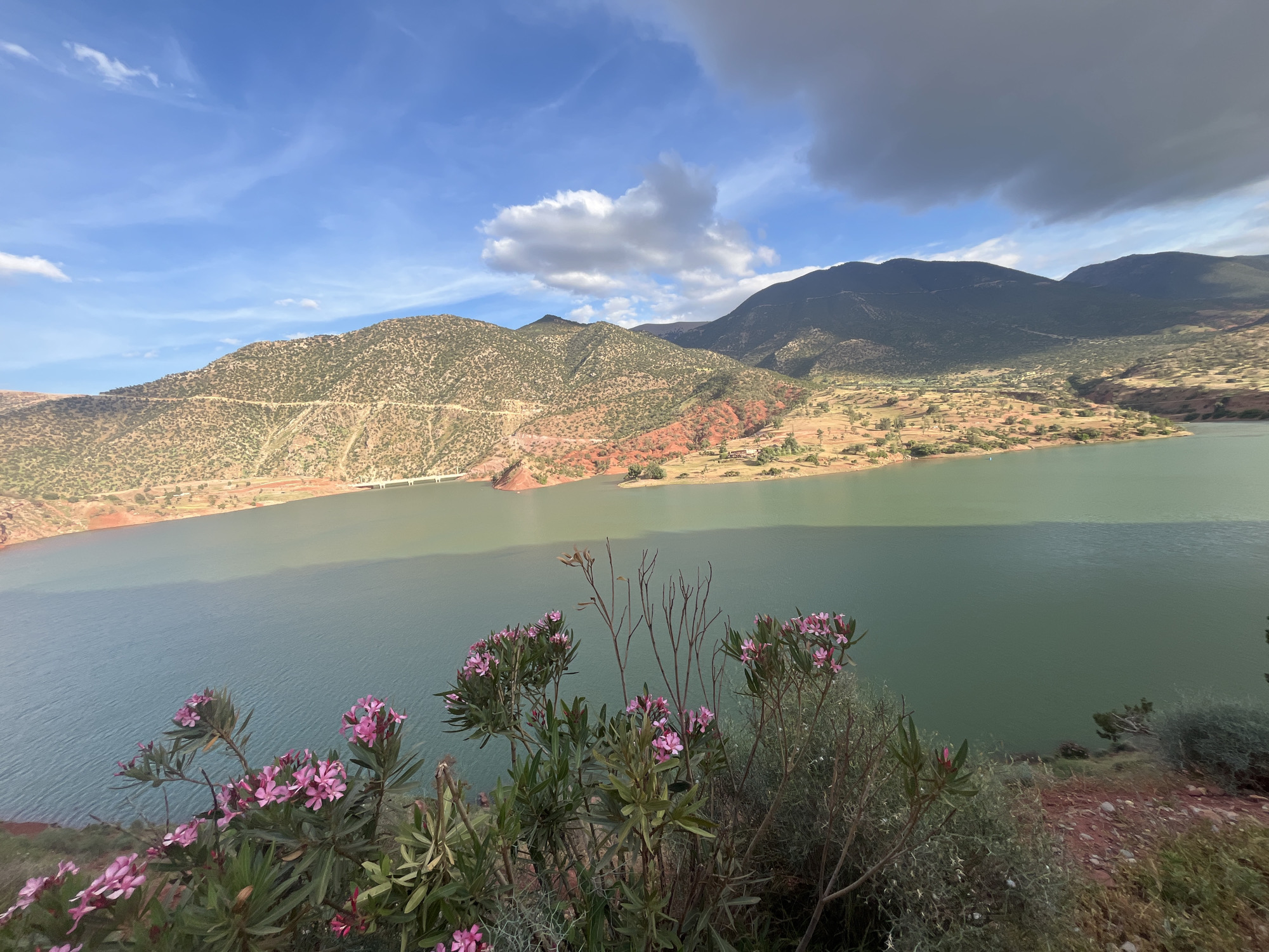 The image shows a reservoir in the Ouaouizert region of Morocco. The water is a murky green color. In the foreground, there are pink flowers and scrubby vegetation. Behind the reservoir, there are brown and green mountains under a sky with scattered clouds. A bridge is visible on the left side of the reservoir.