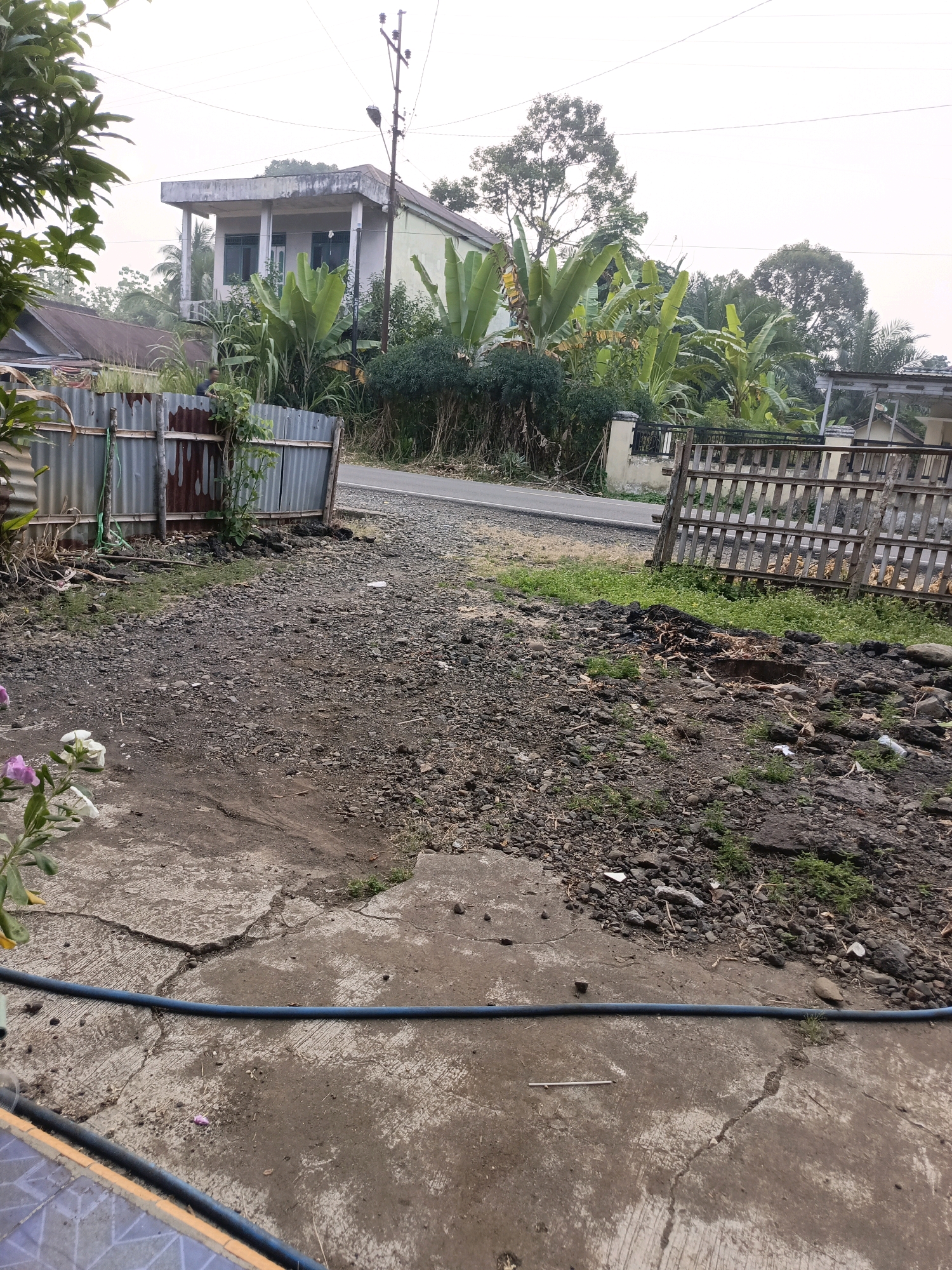 The image depicts a roadside scene in Ulak Tanding, Indonesia, likely during overcast weather or early morning. In the foreground, a cracked concrete surface is visible, with a blue hose lying across it. To the left, a few plants with delicate pink and white flowers add a touch of color. Beyond the concrete, a rough, gravelly area is strewn with debris, including pieces of wood and a plastic bottle.
A corrugated metal fence, partially rusted, borders the immediate foreground to the left and extends towards a gravel road. To the right, a wooden fence constructed of vertical slats encloses an area with some vegetation and what appears to be stacked firewood.
In the middle ground, a paved road curves gently. On the left side of the road, a building with a light-colored facade and dark-framed windows stands behind dense foliage, including large-leafed plants resembling banana trees. A utility pole with wires is also present near this building. On the right side of the road, a more distant building with a dark roof and lighter walls is partially obscured by trees and fencing. The overall environment suggests a semi-rural or suburban setting with a mix of residential structures, vegetation, and unpaved areas.