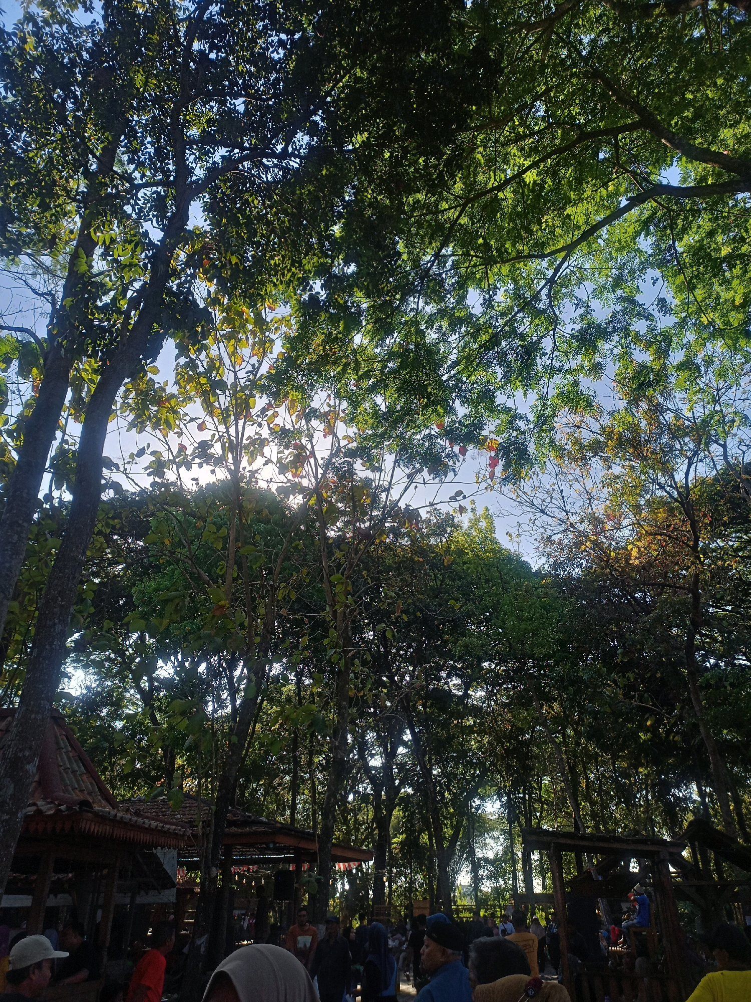 The image depicts a daytime scene in a park-like setting, possibly a recreational area or a marketplace, in Karungan, Indonesia. Tall trees with dense green foliage dominate the upper portion of the frame, with sunlight filtering through the branches and leaves, creating dappled light. The sky is visible in patches, appearing clear and blue.
In the foreground and mid-ground, several wooden structures with tiled roofs are visible, resembling gazebos or stalls. Some of these structures appear to be open-air, with people gathered around them. A crowd of individuals, dressed in casual clothing, is present in the lower half of the image. Their interactions are not clearly discernible, but they appear to be engaged in various activities, possibly shopping, socializing, or resting.
The environment is natural and somewhat rustic, with a mix of vegetation and man-made structures. The presence of people suggests a public gathering or event is taking place. The overall atmosphere seems relaxed and active, with the natural light and greenery contributing to a pleasant outdoor ambiance.