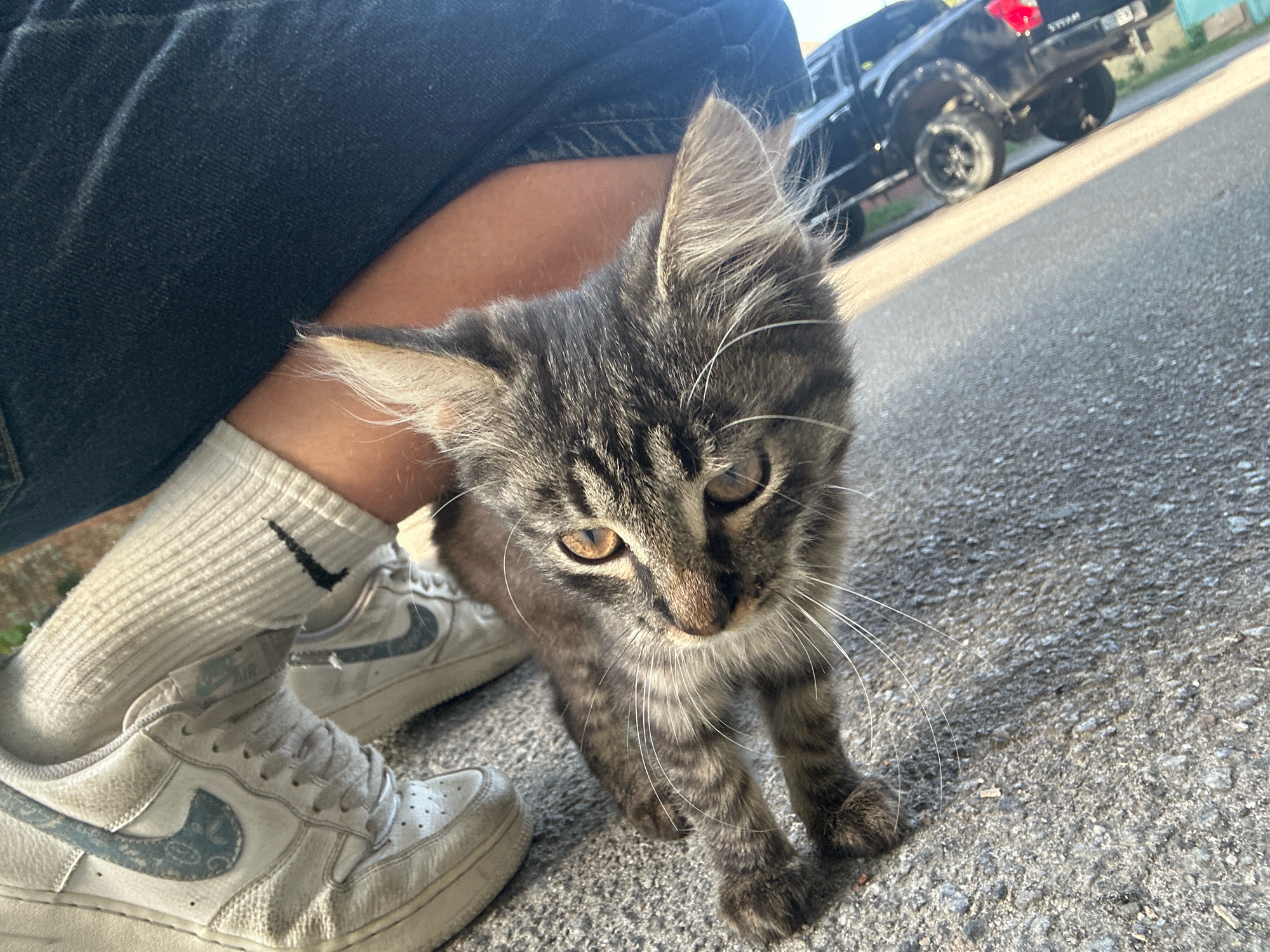 A young, grey tabby kitten with bright amber eyes is the primary subject of this outdoor photograph, positioned on asphalt pavement. The kitten is facing forward, with its body slightly angled, and its paws are visible on the ground. Its fur is predominantly grey with dark tabby markings. To the left of the kitten, a person's legs are visible, clad in dark blue denim jeans and white crew socks with a black Nike logo. The person is wearing white Nike sneakers with a blue paisley-patterned Swoosh. In the background, a black pickup truck with lifted suspension and large tires is parked on the right side of the frame. The environment appears to be a street or driveway, with the asphalt surface and a hint of a green structure in the far background. The lighting suggests it is daytime, with sunlight casting shadows. The scene does not contain any specific identifiable landmarks of Khmilnyk, Ukraine.