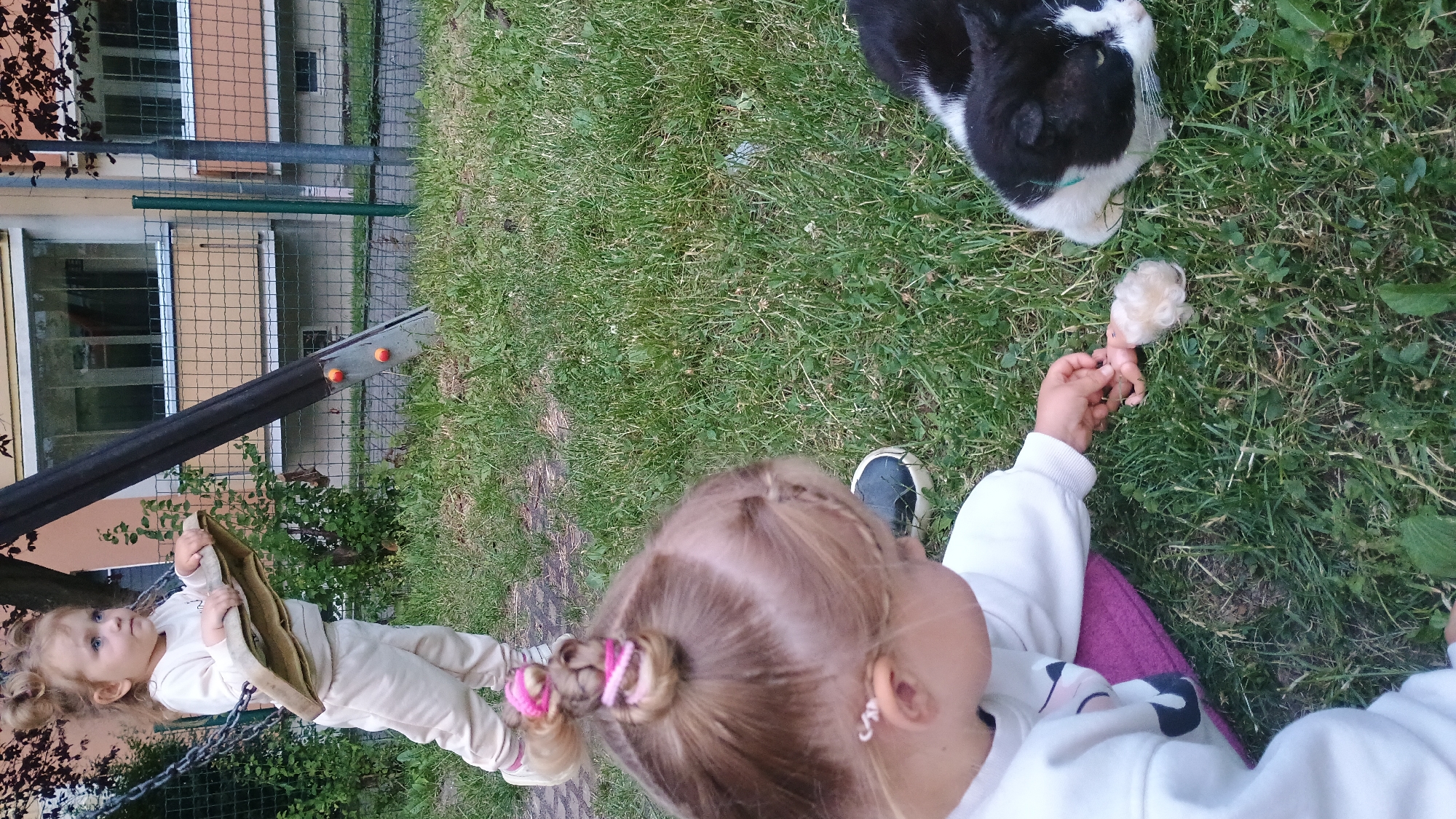 In Sokolov, Czechia, two young children are at a playground. A toddler with blonde hair styled in two buns with pink ties stands on a swing seat, holding onto the swing's frame. She is wearing a light-colored sweatshirt and pants. Beside her, another young child, also with blonde hair pulled into two buns with pink ties, is crouched on the grass, facing away from the camera. This child is wearing a white sweatshirt and is interacting with a small doll. A black and white cat is lying on the grass next to the crouched child, appearing to observe the interaction. The playground has a grassy surface with some scattered weeds and clover. In the background, there is a fence, a building with windows and balconies, and trees. The overall setting suggests an outdoor play area in a residential or park environment.