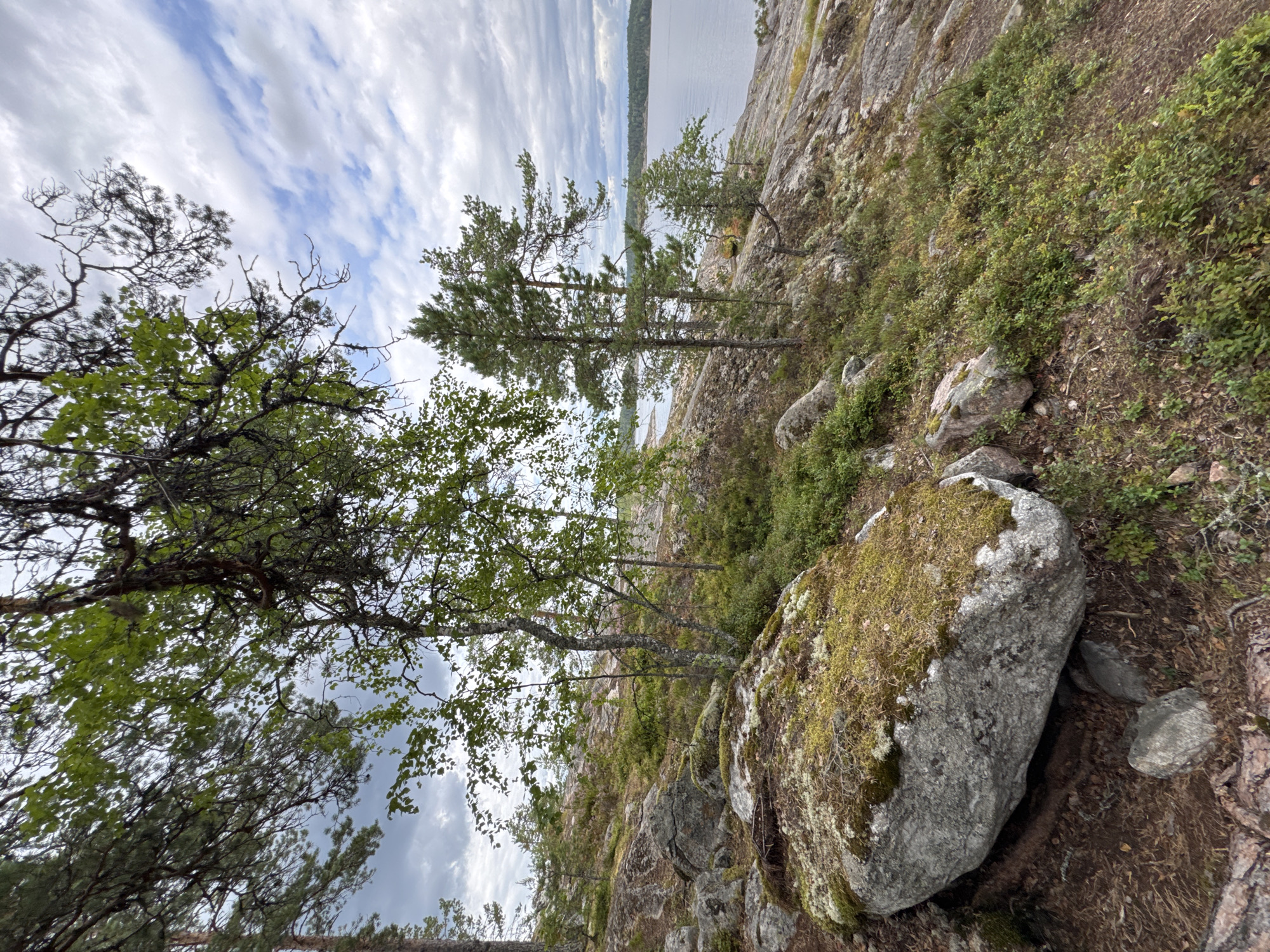 The image depicts a natural landscape in Sorola, Russia, featuring a rocky, forested incline sloping down towards a body of water. The foreground is dominated by large, moss-covered boulders and smaller rocks interspersed with low-lying green shrubs and dry pine needles. Several trees, including pines and deciduous species with green leaves, are scattered across the rocky terrain.
In the mid-ground, the incline continues with more rocks and vegetation, leading to a dense cluster of evergreen trees. Beyond the trees, a calm, wide body of water stretches towards the horizon. The sky above is partly cloudy, with patches of blue sky visible between a layer of grey clouds. The overall impression is one of a rugged, natural environment. There are no people or man-made structures visible in the image.