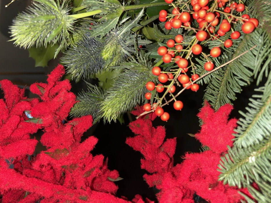 The image depicts a close-up of a static floral and foliage arrangement, located indoors in Erba, Italy. No individuals, animals, actions, or interactions are visible. The arrangement is composed of various artificial and natural elements set against a dark, indistinct background.
The left and lower-left areas feature multiple clusters of artificial red foliage, characterized by a soft, fuzzy texture, consistent with faux poinsettia blooms.
The upper-right section contains several distinct clusters of spiky, greenish-grey plant material, consistent with thistles or similar plants. Interspersed among these and below them are dark green holly leaves with serrated margins.
A prominent feature in the center-right is a cluster of numerous small, spherical, bright red berries attached to thin, light brown stems. These berries are consistent with either artificial or natural Ilex species.
Across the bottom and central-right portions of the frame, dark green coniferous branches, resembling pine or fir needles, are present, forming a textural base. The lighting suggests an interior setting, emphasizing the details of the decorative components.