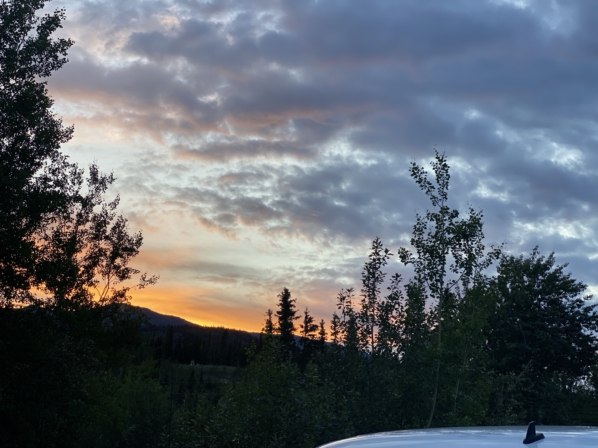 An outdoor, eye-level, full shot captures a sunset over Haines Junction, Canada. Silhouetted trees in the foreground and midground frame a mountainous landscape that recedes into the distance. The sky is a dynamic canvas of colorful clouds, with hues of orange, pink, and grey mingling together as daylight fades. A white vehicle is partially visible in the bottom right corner of the frame, its antenna a distinct detail against the dusky sky. The scene conveys a sense of natural beauty and tranquility.