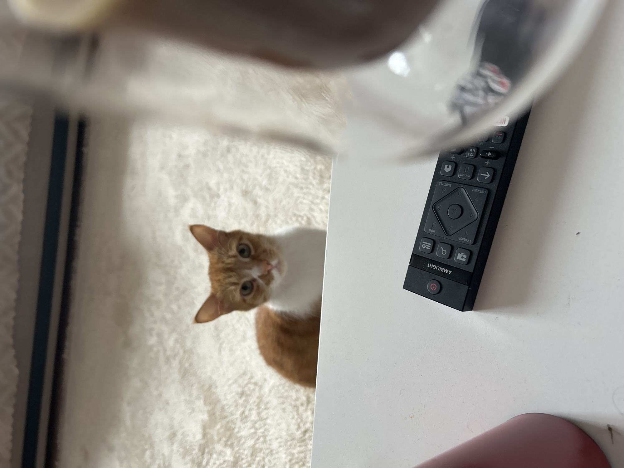 A high-angle shot presents a scene within a domestic setting. A portion of a clear glass or bowl obscures the upper part of the image, creating a blurred effect. The lower left quadrant reveals an orange and white cat looking upwards, positioned on a fluffy, white carpet, which also shows striped detailing at the edge. To the right, a white surface hosts a black remote control with various buttons and labels (including the word "AMBILIGHT"), oriented vertically. A glimpse of a red object is visible in the lower right corner. No specific location in Burgas, Bulgaria is discernible.