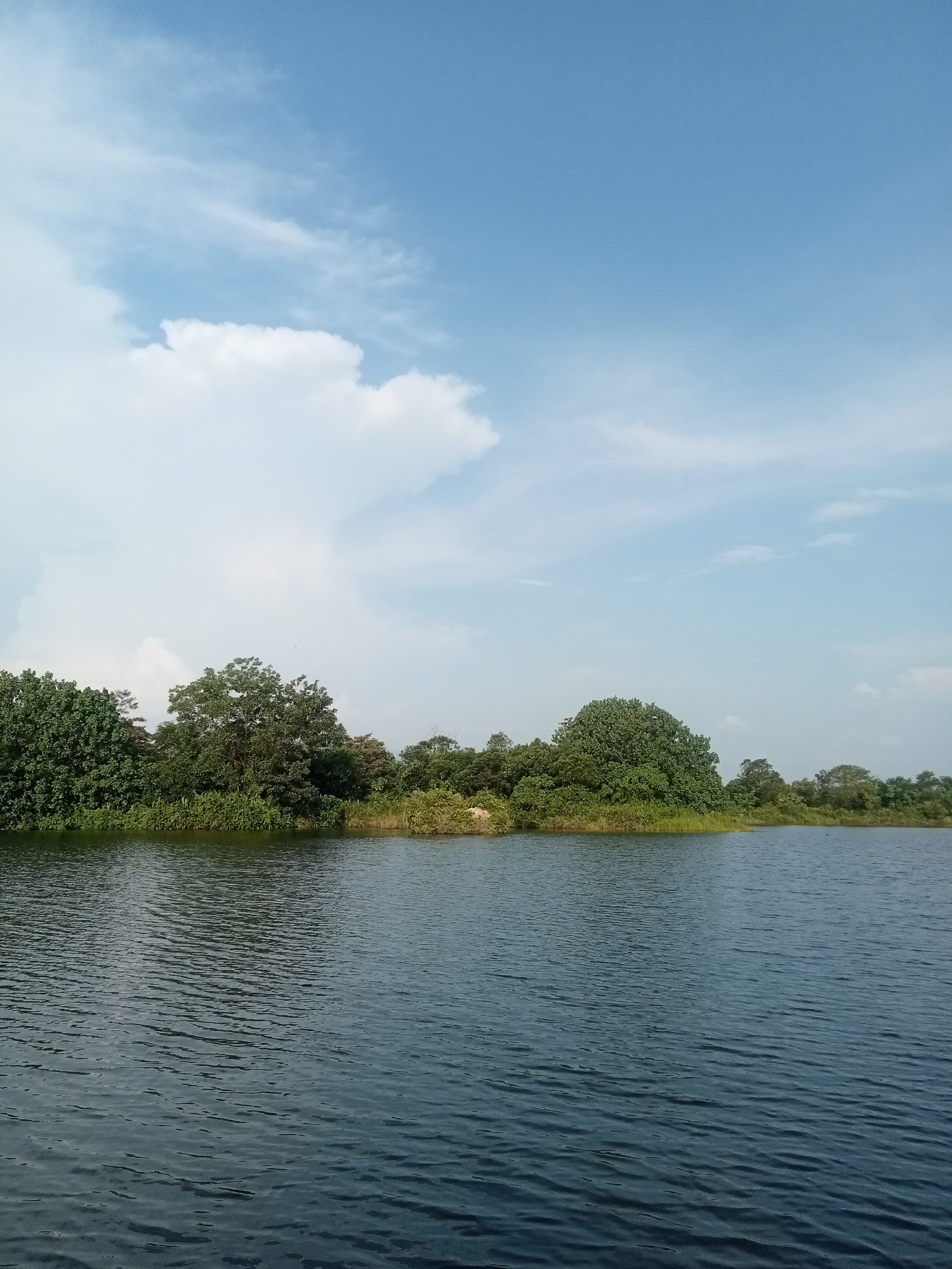 This is a photograph of a body of water, likely a river or lake, in Kualu, Indonesia. The water is dark blue with ripples on its surface, indicating a gentle breeze. Along the far bank of the water is a dense line of lush green trees and vegetation, creating a natural border. The trees are varied in height and density, with some appearing larger and more mature than others. Above the trees, a vast expanse of sky dominates the upper portion of the image. The sky is a bright blue, dotted with scattered white clouds. Some of the clouds are fluffy and cumulus-like, while others are wispy and streaky. The overall impression is one of a serene and natural landscape. No people or man-made structures are visible in the frame.