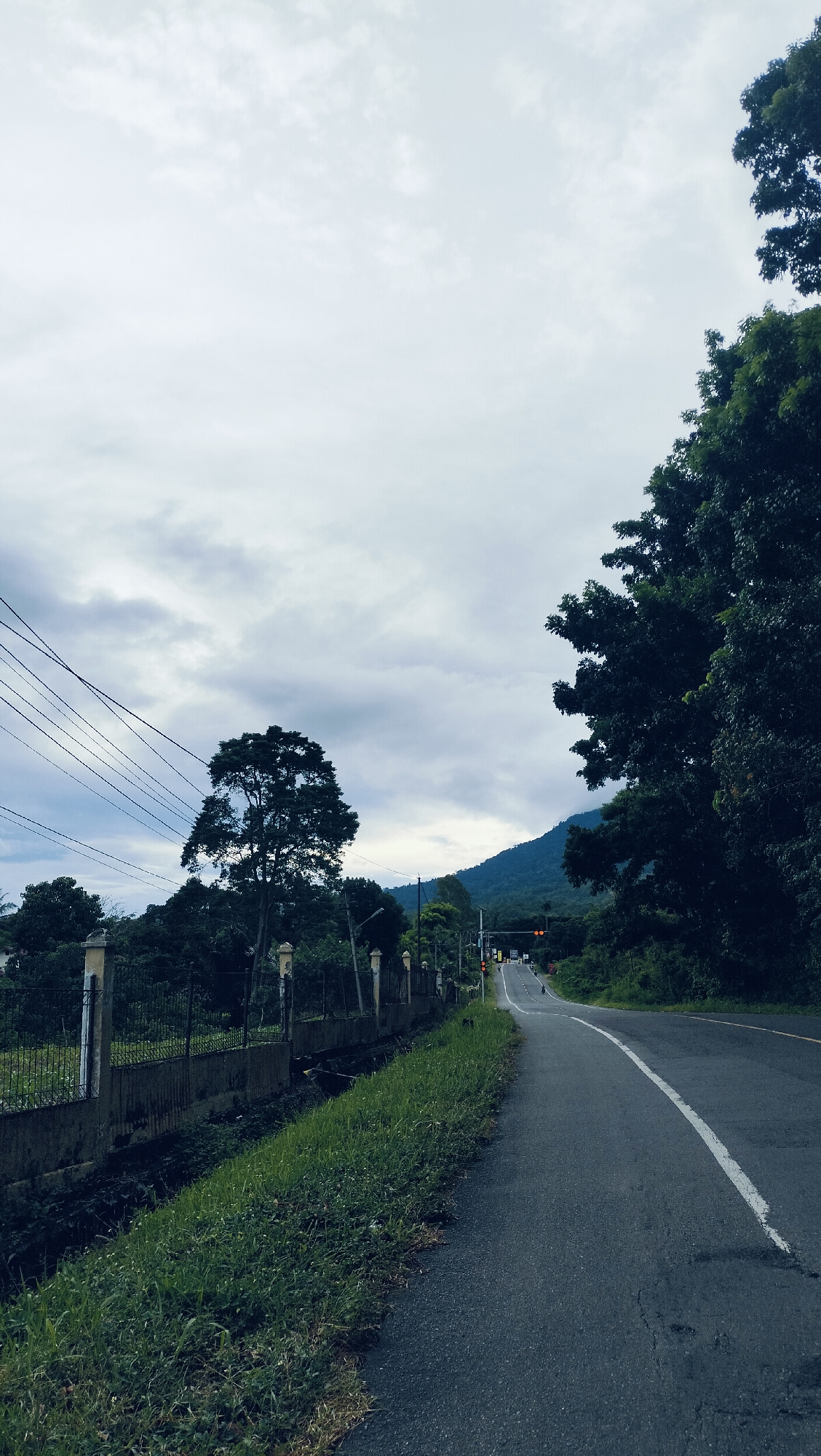 A vertical shot captures an asphalt road winding through a lush, mountainous landscape under an overcast sky in Lamtamot, Indonesia. The road, marked by a white solid line on its right edge, recedes into the distance where faint shapes of vehicles and people are visible near what appear to be red traffic lights, indicating an intersection or stop.
On the left, a sturdy concrete and metal fence with decorative pillars lines the roadside, bordering an overgrown ditch filled with dark earth and weeds. Beyond the fence, dense green vegetation and several utility poles with multiple power lines are visible. A large, mature tree with a full crown stands prominently on this side, slightly to the left of the road.
To the right, tall, dark green trees form a thick, shadowy border, framing the road and partially revealing a majestic, tree-covered mountain range in the background. The sky is largely covered by diffuse grey clouds, casting a soft, muted light over the scene. The weather appears cloudy, and the time of day is likely daytime, but without direct sunlight. The overall impression is one of a serene, rural journey through a tropical environment. No discernible text is visible in the image.