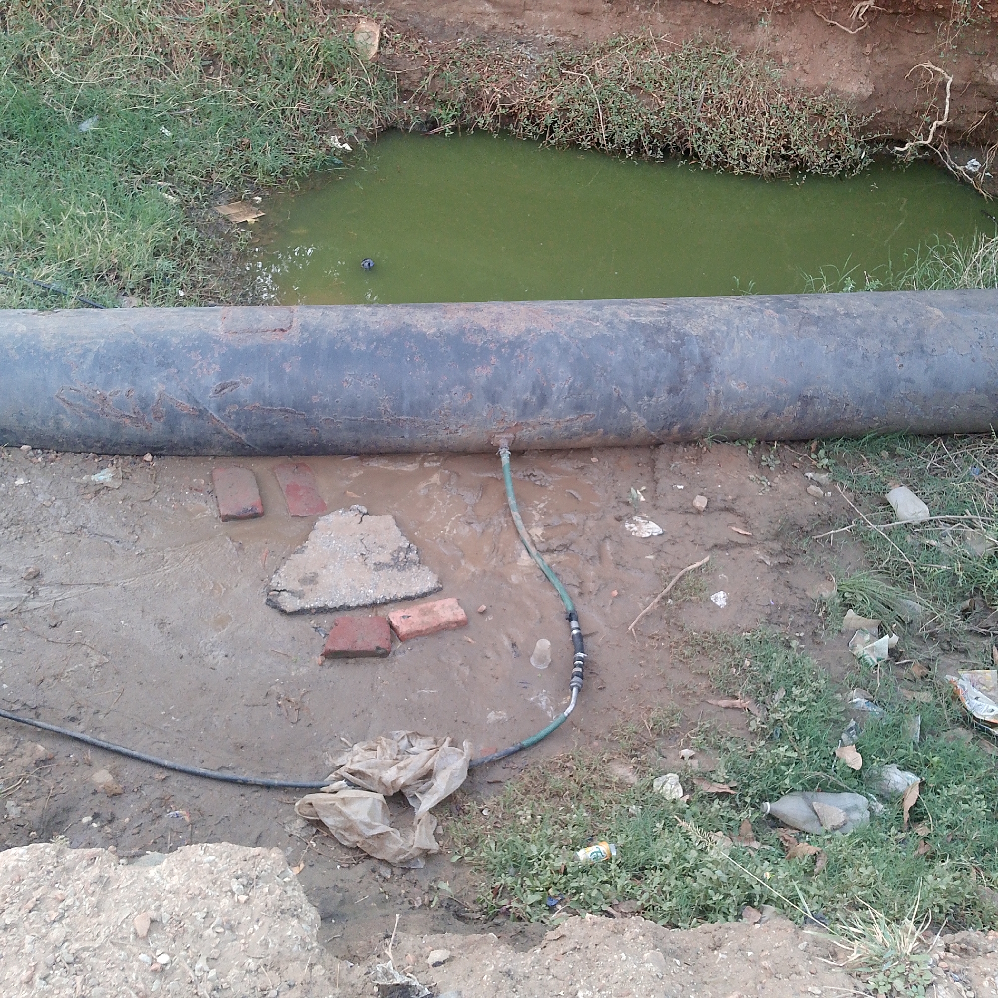 The image depicts a damaged water main in an unkempt area, possibly in Altagracia, Venezuela, though this cannot be confirmed. A large, corroded, black pipe lies horizontally above ground. A green hose is attached to the pipe, leaking water into the surrounding muddy ground. Bricks and broken concrete pieces are scattered around the hose. A stagnant pool of green water is visible in the background, surrounded by vegetation. Trash and debris are scattered throughout the scene, including a plastic bag and empty containers. There are no people visible in the image.