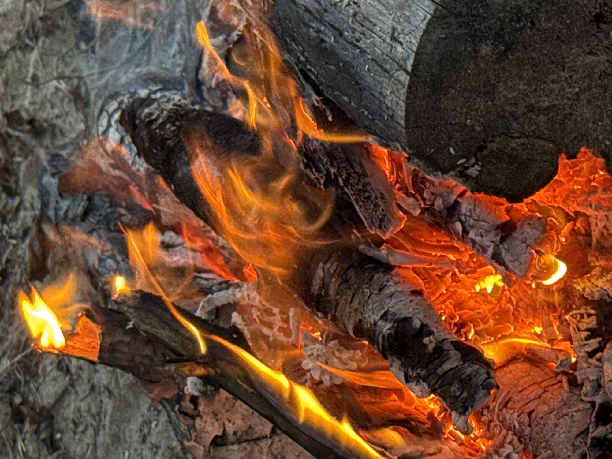 A close-up, top-down shot captures a roaring campfire with vibrant orange and yellow flames licking at charred logs and glowing embers. The wood, some of which is split and cracked, rests on a bed of ash and dirt. The overall impression is one of intense heat and natural elements. The image is not location-specific and does not show any people or actions.