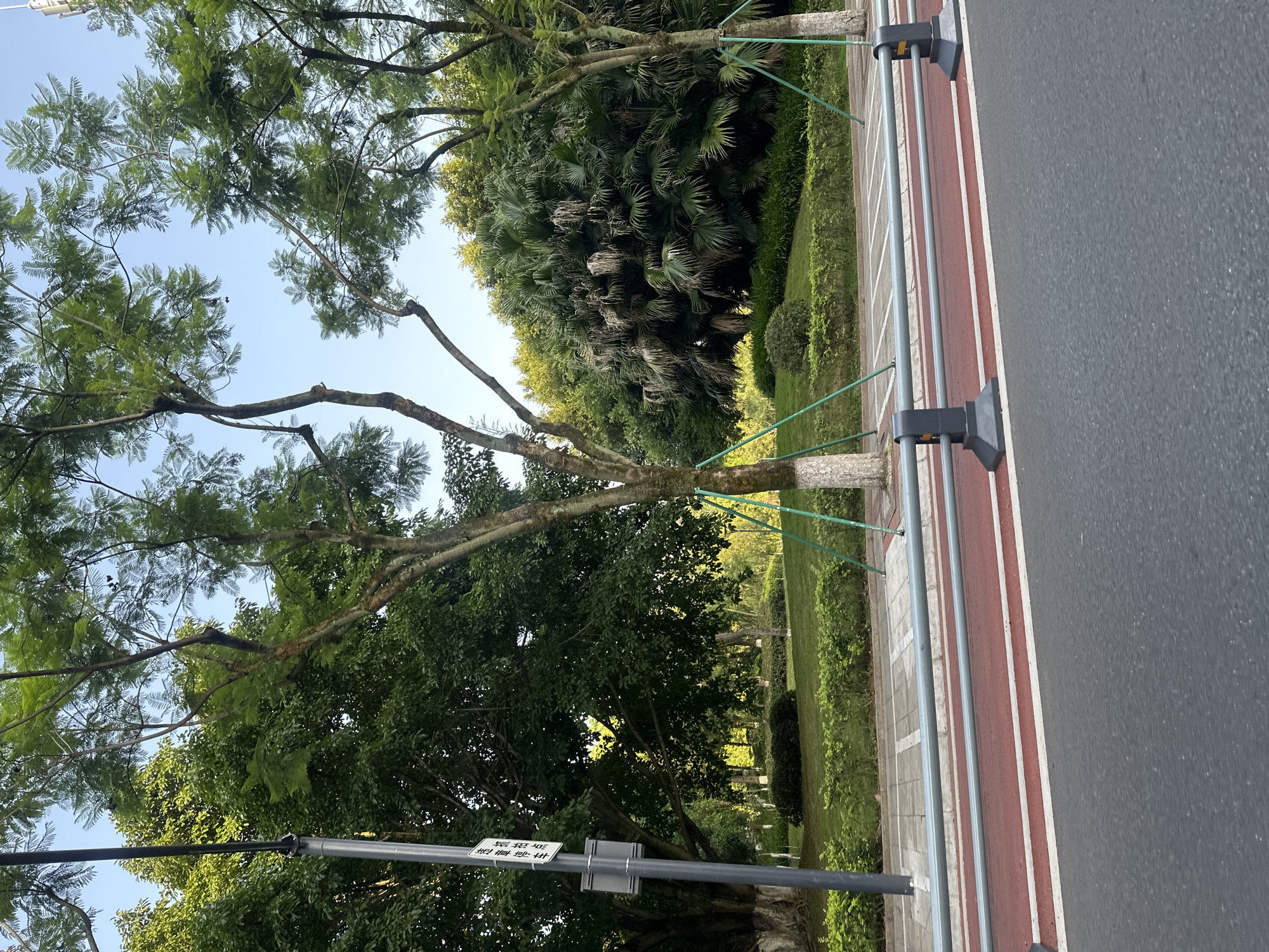This vertical-format image presents a sunny outdoor scene, likely a public green space or a well-maintained roadside within the Chongqing High-tech Zone, China. The setting features lush greenery, paved pathways, and urban infrastructure under a clear blue sky.
In the foreground, a dark grey asphalt road is visible, bordered by a distinct red-colored lane, possibly a bike path, delineated by white lines. Parallel to the road and path is a robust grey metal railing system, consisting of vertical posts and horizontal bars, fitted with black rectangular attachments at intervals. Adjacent to the railing, a sidewalk paved with light grey square tiles can be seen.
The scene is dominated by numerous trees with vibrant green foliage, some of which appear to be young and are supported by green straps tied to short grey posts. Beyond the railing and sidewalk, a manicured grassy area extends into the mid-ground, featuring dense shrubs and additional trees, including some with large, fan-like fronds resembling palms.
A grey pole with a white rectangular sign is visible in the lower left portion of the image. The sign displays Chinese characters: "请注意安全" (qǐng zhùyì ānquán), which translates to "Please pay attention to safety."
The bright lighting and absence of clouds indicate a clear, sunny day, likely during the morning or early afternoon. The overall impression is one of a clean, orderly, and green urban environment. No people or specific activities are depicted.