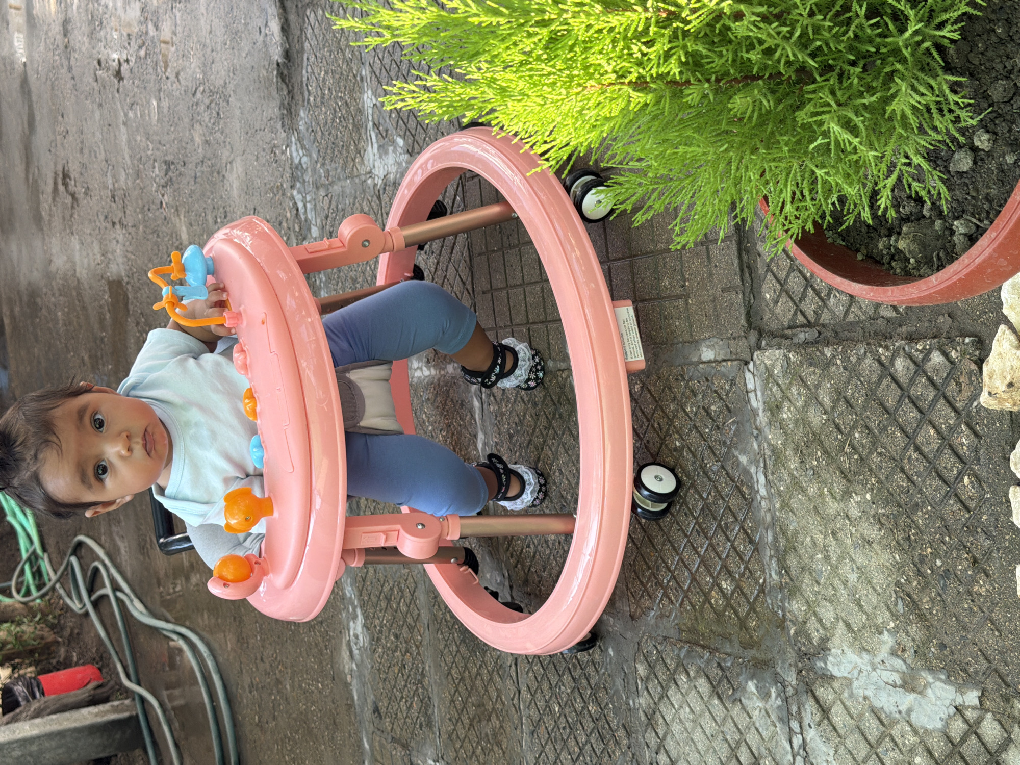 A young child is seated in a pink baby walker on a paved outdoor surface. The child is wearing a light blue shirt and blue leggings, with patterned socks. The baby walker has several toys attached to its tray. To the right of the walker is a potted green plant. The ground is wet and appears to be made of concrete slabs. In the background, there are garden hoses and some foliage. The scene is illuminated by natural light, casting some shadows. The location is identified as Razhevo Konare, Bulgaria.