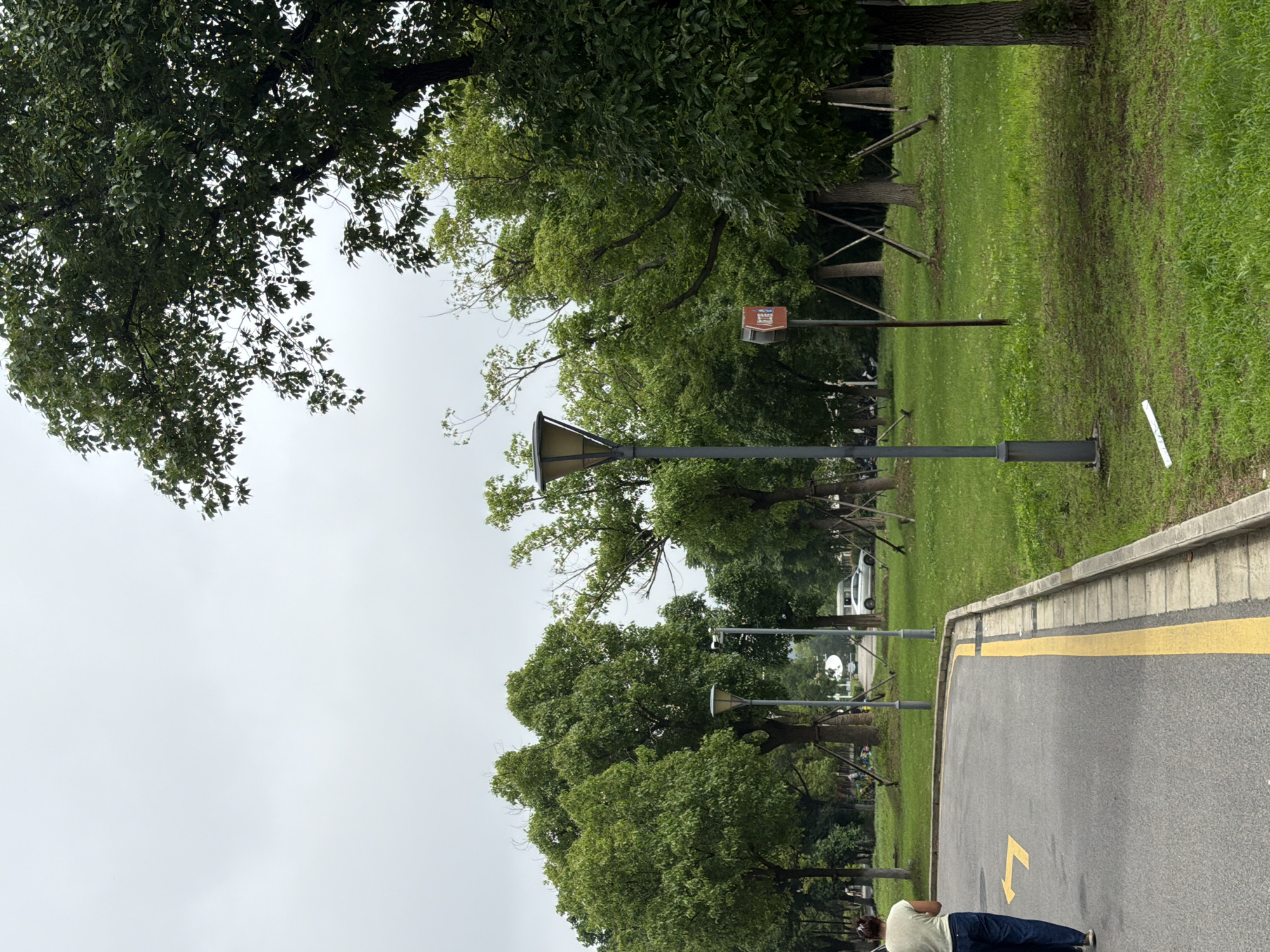 The image shows a park scene in Jiangning District, China. A paved pathway with a yellow line and an arrow indicating direction runs alongside a grassy area with mature trees. Streetlights are spaced along the pathway. A person is walking on the pathway. The sky is overcast.