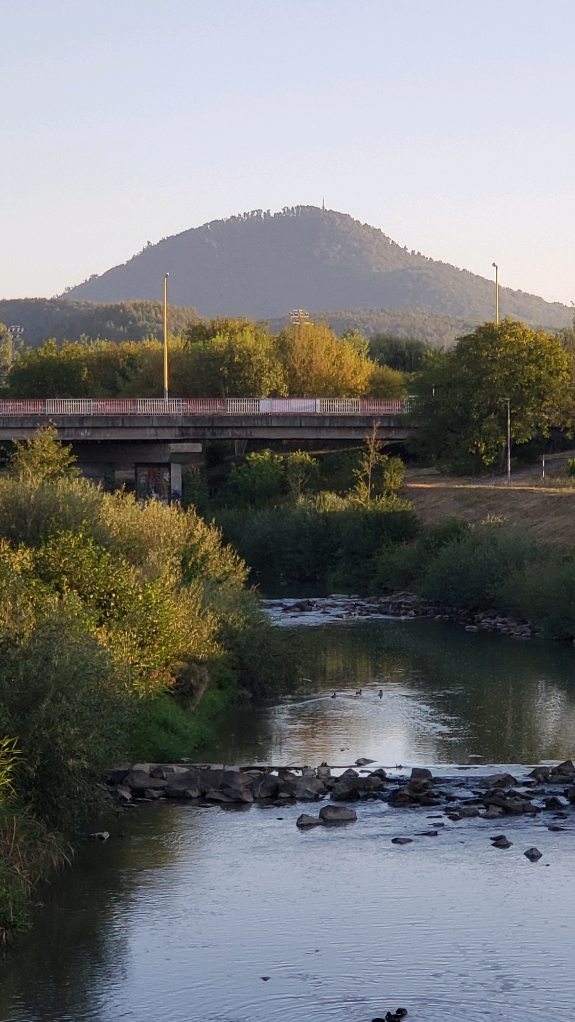 The image shows a scenic view of a river in the city of Prešov, Slovakia. In the foreground, a river flows with rocks scattered across its surface, creating a gentle cascade in some areas. Several ducks are visible swimming in the water. The riverbanks are lined with lush green trees and bushes. A concrete bridge with a red and white railing spans across the river in the midground. Graffiti is visible on the support pillar of the bridge. Beyond the bridge, more trees form a dense green backdrop. In the far distance, a large, tree-covered hill dominates the skyline, with a prominent structure, likely a tower or monument, situated at its summit. The sky is clear and pale blue, suggesting it is either early morning or late afternoon. The overall impression is one of a tranquil natural setting within or near an urban environment.