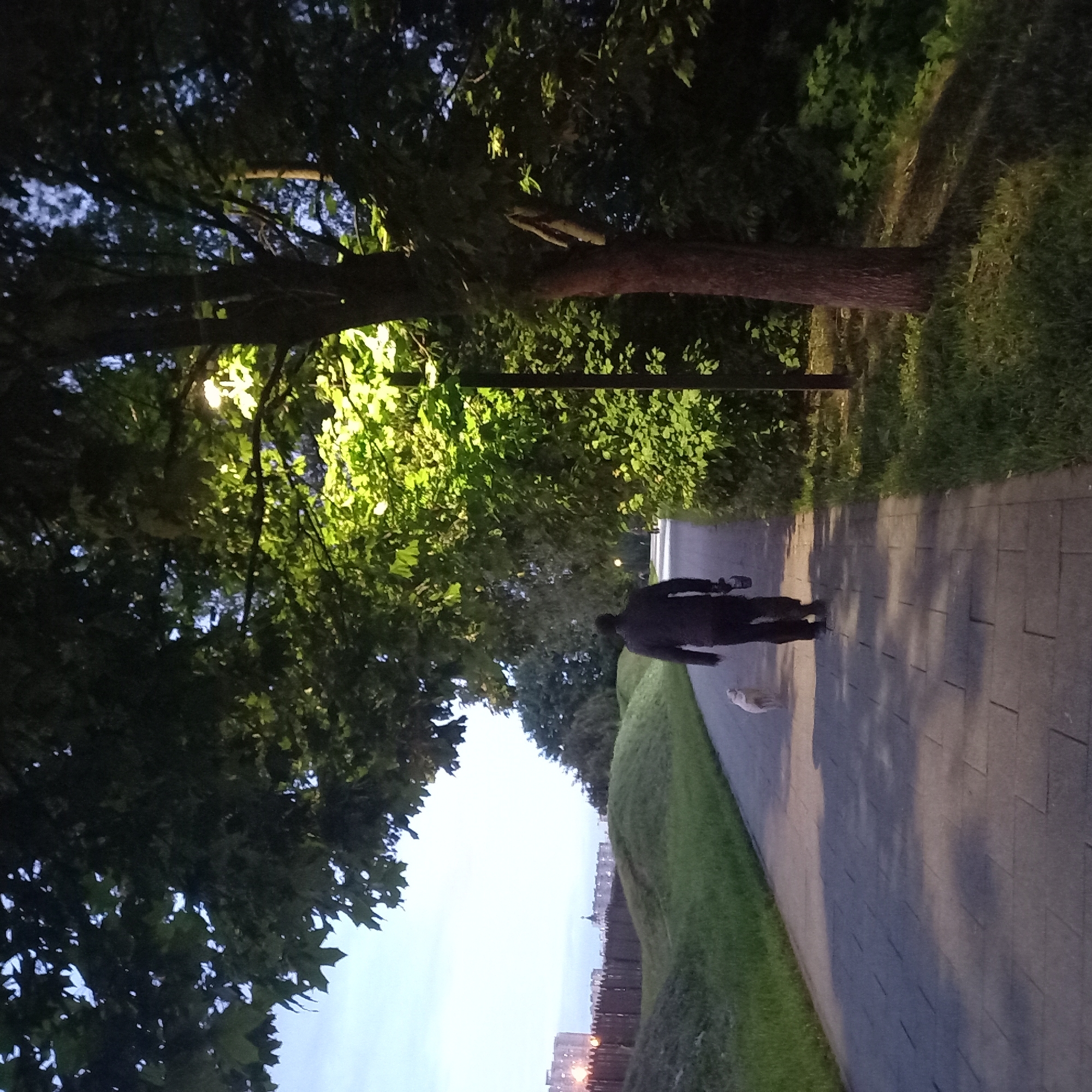 A man walks a small, light-colored dog on a paved path in a park in Moscow, Russia. The path is bordered by a grassy incline on one side and trees on the other. The time of day appears to be dusk or night, as evidenced by the low light and streetlights illuminating the trees. The background reveals buildings beyond a low wall, indicating an urban setting. The man is wearing dark clothing. He appears to be carrying an object in his left hand.