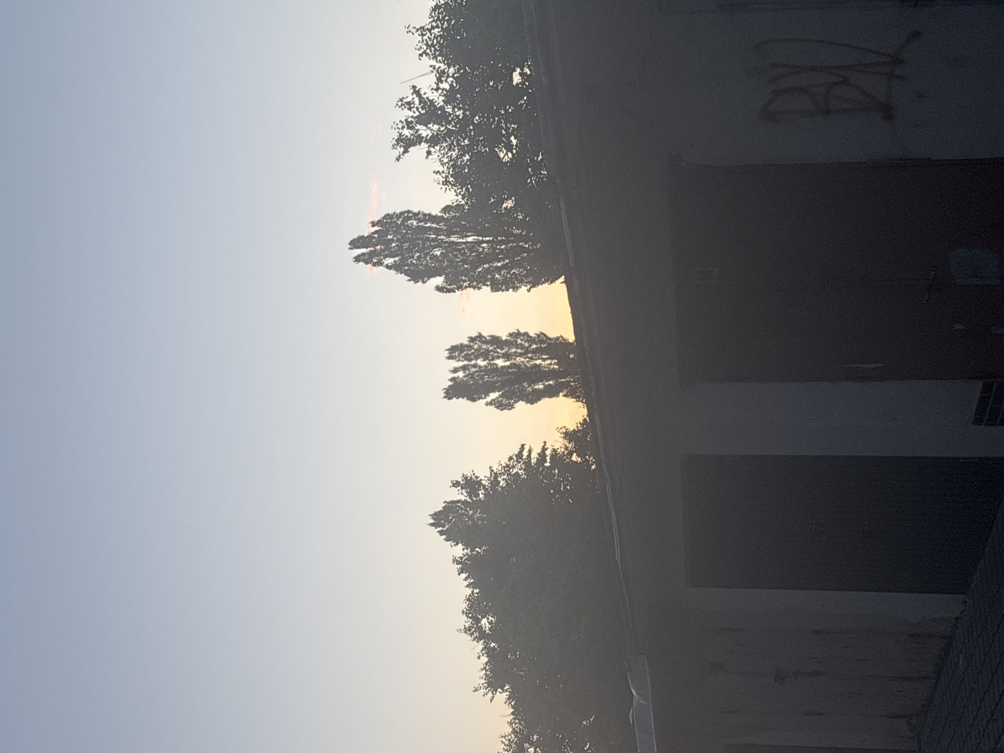 In the city of Unknown, Unknown, a photograph captures a serene scene at dusk. Tall, silhouetted trees rise above a row of garages, their branches etched against a pale, gradient sky transitioning from a soft blue to a warm yellow near the horizon. The garages themselves are dark, featureless structures, one bearing the scrawled graffiti of red markings. The foreground of the image is dominated by the roofline of these garages, with a dimly lit paved area visible to the left. The overall impression is one of quietude and an urban landscape at rest.