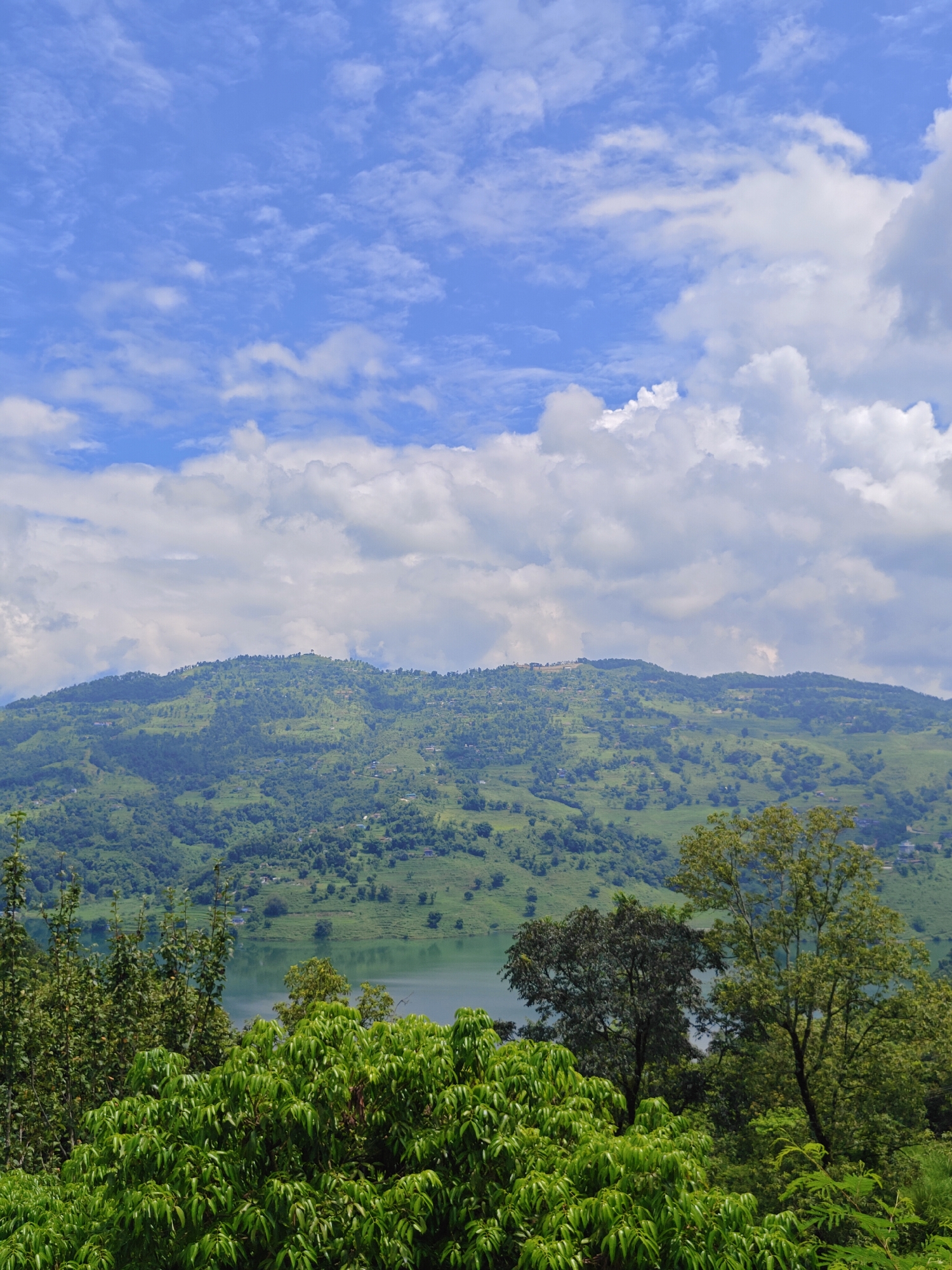 A panoramic view captures the lush, green hills surrounding a tranquil lake in Pokhara, Nepal. The sky above is a vibrant blue, dotted with fluffy white clouds, suggesting a pleasant day. The hillsides are a patchwork of cultivated terraces and dense vegetation, with small houses and settlements visible amongst the trees, indicating a rural or semi-rural setting. In the foreground, a dense canopy of trees with broad, green leaves partially obscures the view of the lake. The lake itself appears calm, reflecting the soft hues of the sky and surrounding landscape. The overall impression is one of natural beauty and peaceful rural life.