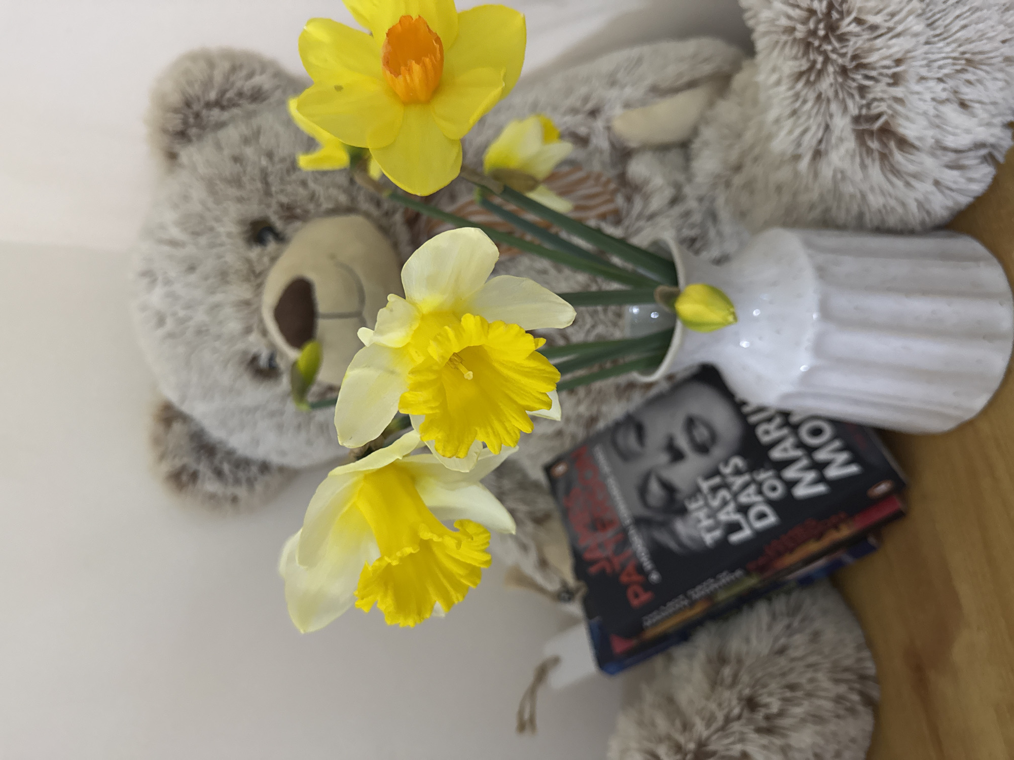 The image displays an indoor still life arrangement located in Great Yarmouth, United Kingdom. A large, grey, fluffy teddy bear with a brown snout and stitched mouth is seated centrally in the background, adorned with a light-colored, patterned bow around its neck. In the foreground, positioned slightly to the right of center, a white, vertically fluted ceramic vase contains a bouquet of several yellow and white daffodils with green stems; one daffodil features a prominent orange trumpet. A single, closed daffodil bud is also visible in the vase. To the left of the vase and partially obscured by the teddy bear's arm, a stack of books is visible. The uppermost book has a black cover featuring "JAMES PATTERSON" in red text and "THE LAST DAYS OF MARILYN MONROE" in white text, overlying a black and white image of Marilyn Monroe's face. The objects rest on a light brown wooden surface, against a plain, light-colored wall background.