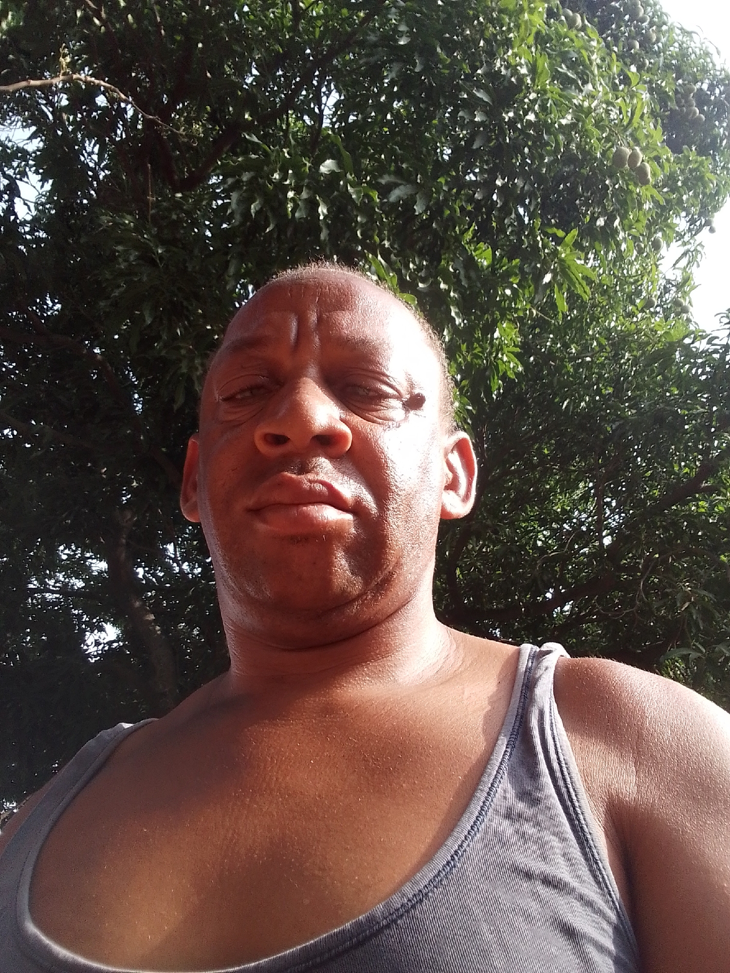 An outdoor, eye-level photograph depicts a dark-skinned adult male in Narayi, Nigeria. The subject, appearing middle-aged with a closely cropped or bald scalp, is positioned centrally and faces the camera directly. His expression is neutral, and his eyes are slightly narrowed, indicative of bright ambient light. He is clad in a grey ribbed tank top. A visible sheen is present on his forehead and exposed upper torso. The background consists of dense green arboreal foliage, with a bright sky visible through gaps. Small, spherical, light-green fruits are discernible among the leaves in the upper right, consistent with the produce of a fruit-bearing tree. The scene is illuminated by strong overhead or frontal sunlight.