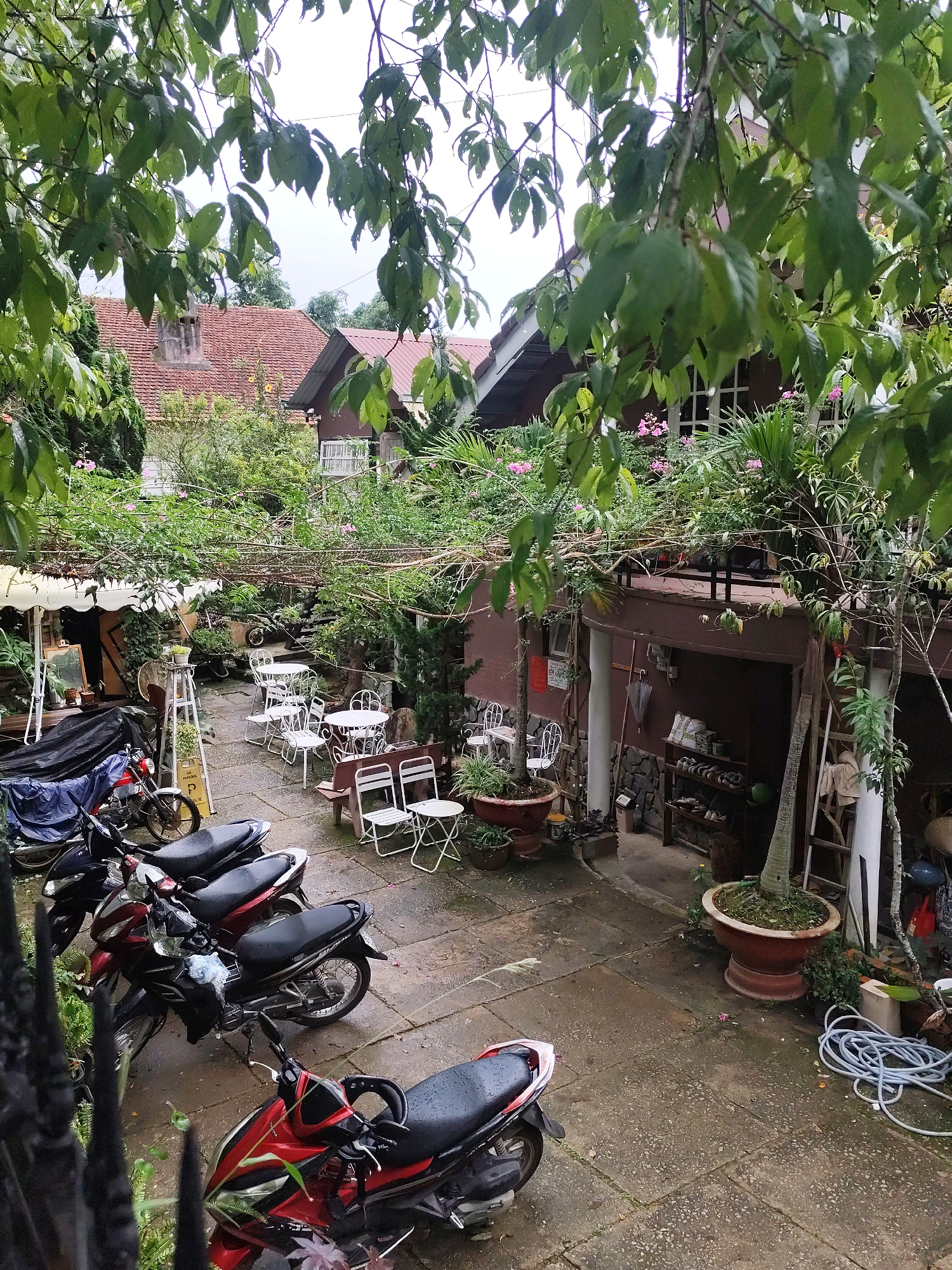 The image captures an outdoor courtyard area, likely a cafe or restaurant, in Lâm Viên - Đà Lạt, Vietnam. Lush green foliage drapes over a trellis, creating a natural canopy above the space. Several tables and chairs, predominantly white and made of metal, are arranged on a wet, stone-paved ground, suggesting recent rain.
In the foreground, a row of motorcycles is parked. The first motorcycle, closest to the viewer, is red and black. Behind it are other motorcycles, some covered with tarps.
The background reveals buildings with reddish-brown tiled roofs and brown walls. One building features white-framed windows. The courtyard is decorated with potted plants, including a large, reddish-brown pot containing a small tree. A shelf unit holding various items, including shoes and what appears to be an umbrella, is visible against one of the building walls. The overall atmosphere is tranquil and somewhat rustic, with the natural elements and the parked motorcycles suggesting a functional, everyday scene in a Vietnamese city.