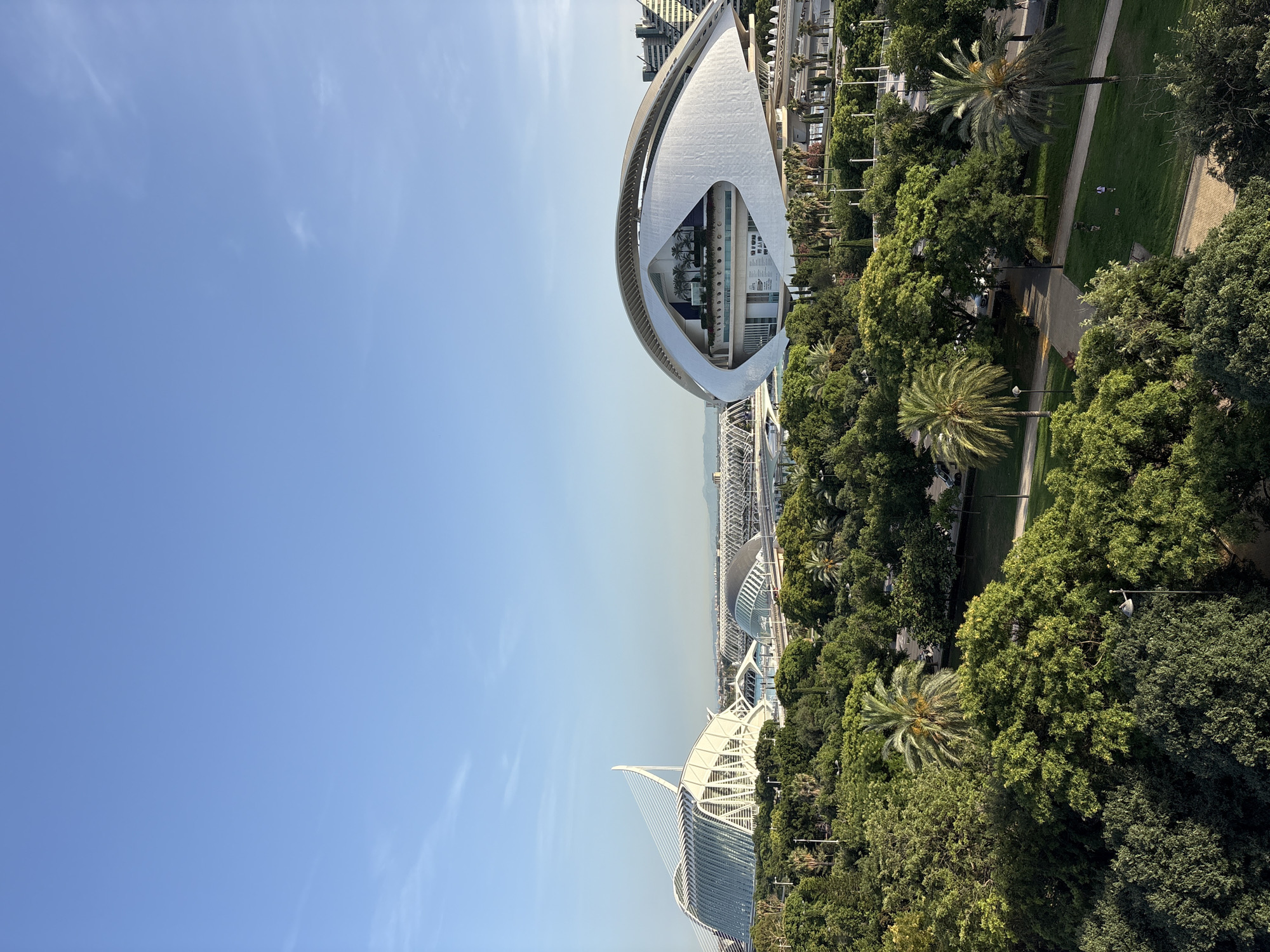 The image displays a panoramic view of the City of Arts and Sciences in Valencia, Spain, on a clear, bright day. The foreground is dominated by lush green trees and palm trees, suggesting a park or garden setting. A paved pathway winds through the greenery.
In the background, several striking modern architectural structures are visible. The most prominent is a large, white, eye-shaped building with a distinctive curved roof, identified as the Hemisfèric. To the left, another large structure with a white, sail-like roof and a glass facade, likely the Palau de les Arts Reina Sofía, is partially visible. Further in the distance, other contemporary buildings with intricate lattice-like structures and curved roofs can be seen. The sky is a vivid, cloudless blue. The overall impression is one of a modern, urban park surrounded by distinctive architectural landmarks.