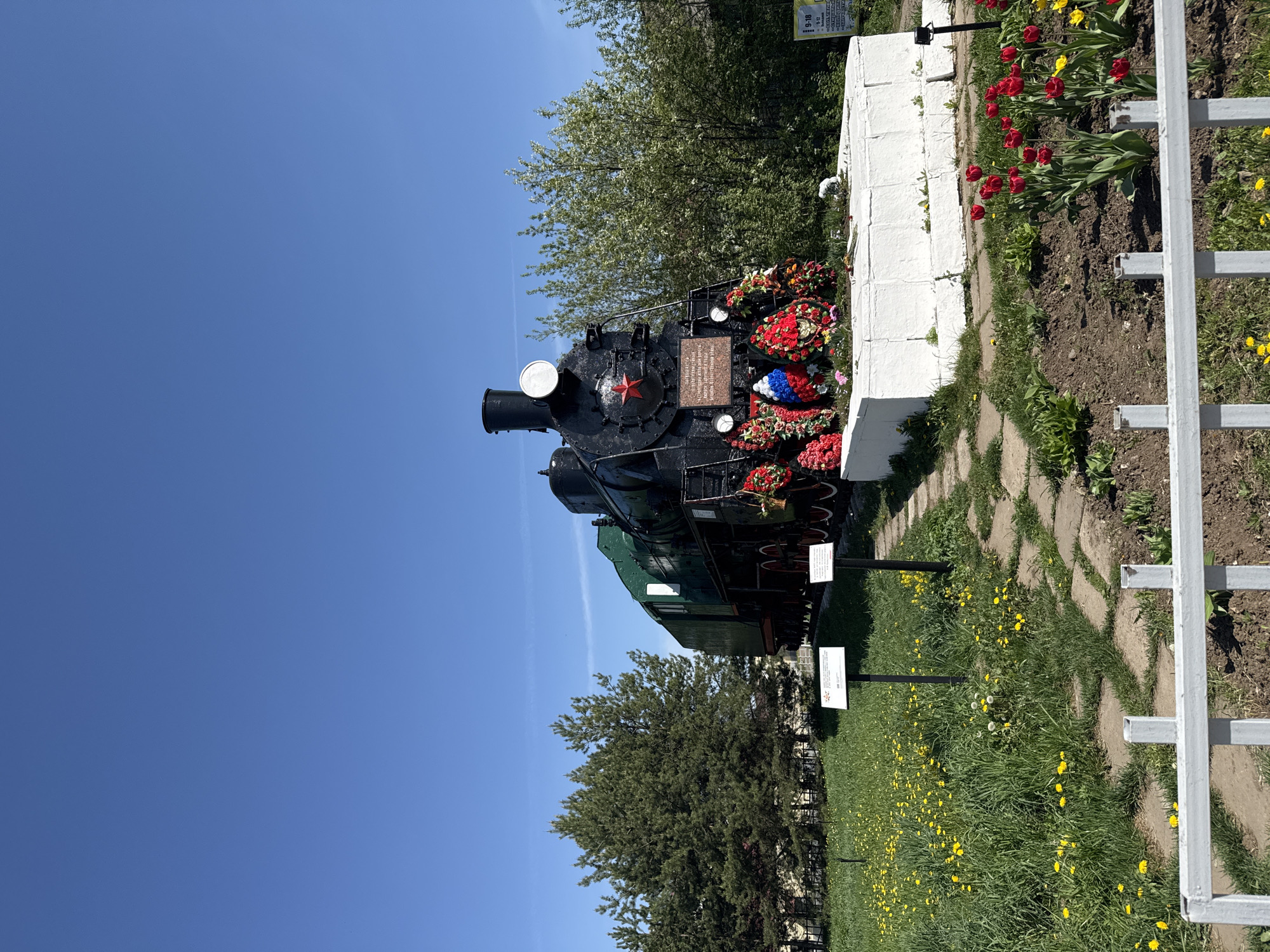 The image shows a black and green steam locomotive, heavily adorned with floral wreaths. A plaque with Cyrillic text is mounted on the front. The locomotive is positioned on a small concrete base, next to a flower bed containing red tulips and yellow flowers. A white metal fence partially encloses the flower bed. A grassy area dotted with yellow dandelions extends away from the locomotive. Trees are visible in the background under a clear blue sky. The location is Balezino, Russia.