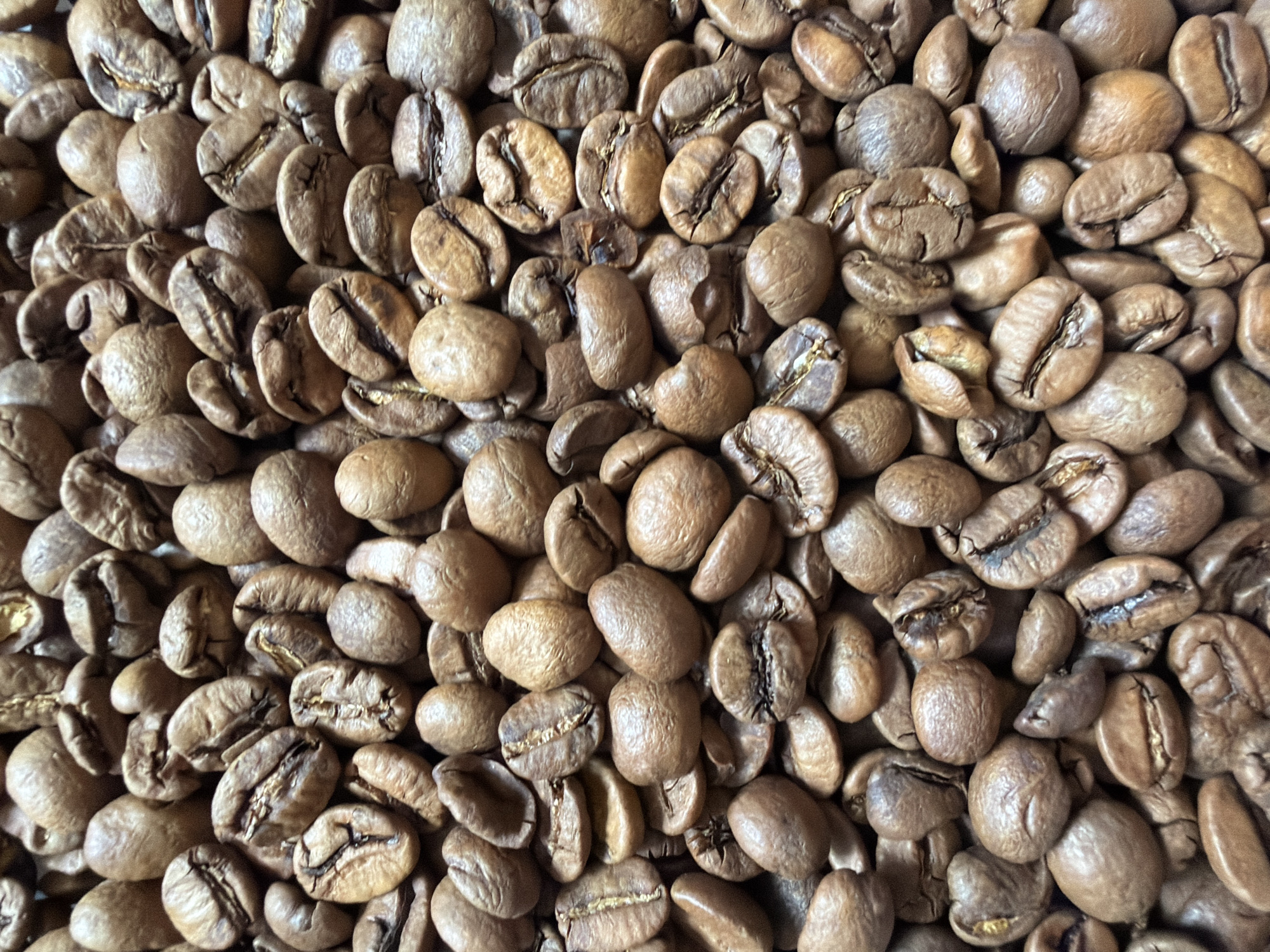A close-up, overhead shot showcases a dense field of roasted coffee beans. The beans are a uniform medium-brown color, with variations in texture and shape, indicating they are whole and unground. A distinct central crease runs down the length of most beans, a characteristic feature of coffee beans. The lighting is even, highlighting the subtle curves and divots of each bean. The arrangement is organic and natural, with beans overlapping and nestled against one another, creating a textured surface. The overall impression is one of abundance and the raw material of a popular beverage. The image does not contain any information about a city, location, people, actions, or interactions.
