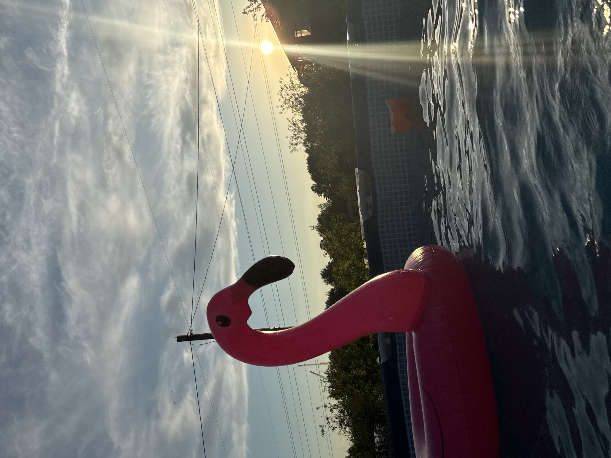 The image, captured in Chaikovsky, Russia, presents an outdoor scene centered around a swimming pool. A large, bright pink inflatable flamingo float is the primary subject, positioned in the foreground of the pool. Its distinctive curved neck and head, with a black beak and small, dark eyes, are clearly visible, rising from the water. The pool water itself appears dark blue, rippled, and reflects the sunlight, with a faint orange object partially submerged in the water nearby. The pool's interior wall shows a blue and white checkered pattern.
The background features a sky illuminated by a low sun, indicating either sunrise or sunset. The sun's intense rays create a lens flare and cast a warm, golden glow on the horizon, which gradually transitions to a lighter blue sky filled with scattered, wispy clouds. Several power lines stretch across the frame, with a utility pole also visible on the left. A line of dark green trees and foliage marks the distant horizon, suggesting a natural or semi-rural setting surrounding the pool. The overall scene evokes a sense of tranquil summer leisure. No text is visible in the image.