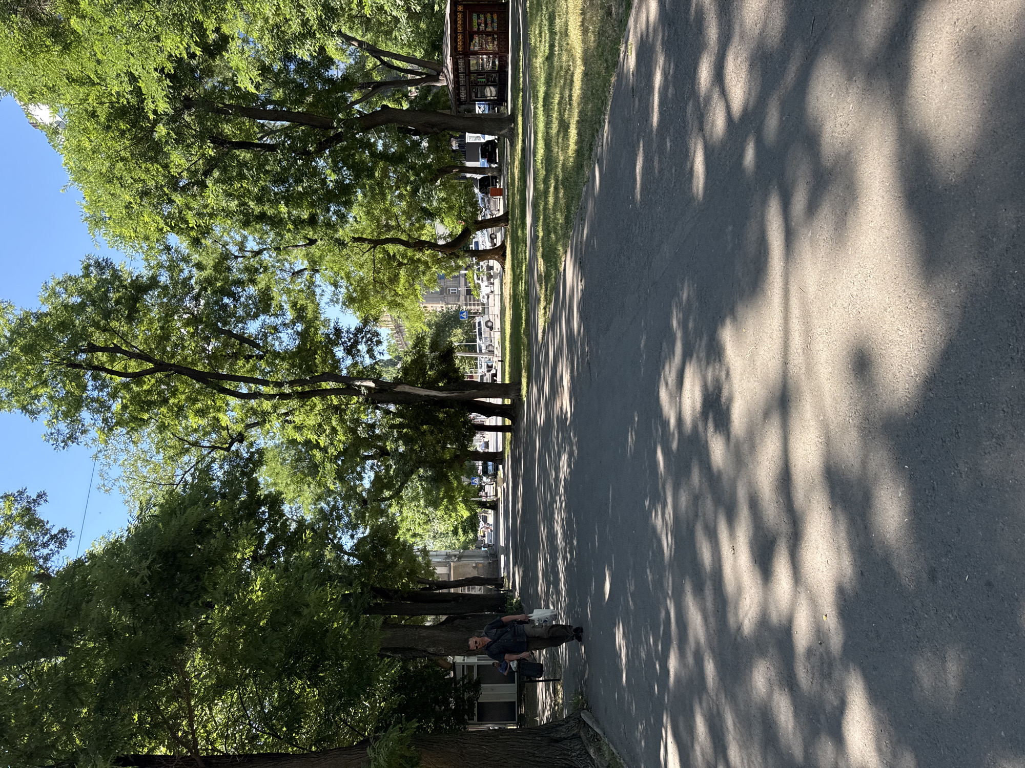 A man stands on a paved path lined with trees casting dappled shadows. He is wearing sunglasses, a dark patterned shirt, and dark pants. He carries a white bag in his right hand and a dark bag in his left hand. The path runs alongside a grassy area with more trees. In the background, there are buildings and what appears to be a small shop or kiosk with awnings. Cars are parked along the side of the road in the distance. The sky is clear and blue, suggesting a sunny day. The time of day appears to be midday or early afternoon, given the angle of the shadows. The overall scene is one of a peaceful, sunny day in a park or a tree-lined street.