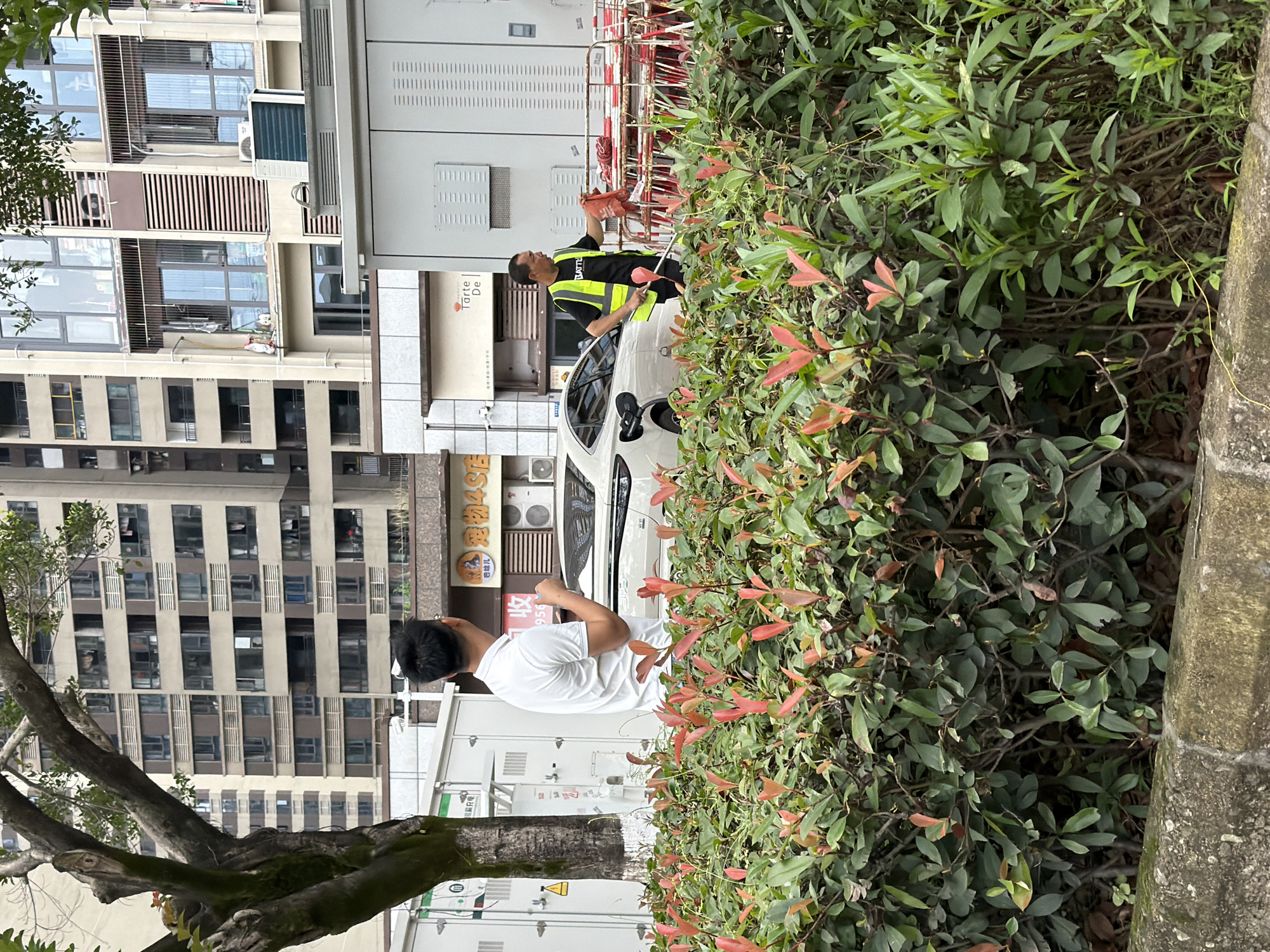 The image, possibly taken in Chongqing High-tech Zone, China, shows a street scene. A tall building stands in the background. In the foreground, dense green bushes with reddish new growth fill the right side. To the left of the bushes, two men are visible near a white car. One man wears a white t-shirt and appears to be looking at the car. The other man, wearing a safety vest, holds a red object and is looking toward a construction area with red and white barricades further down the street. A tree is situated to the left. Several buildings, some with air conditioning units, line the street.