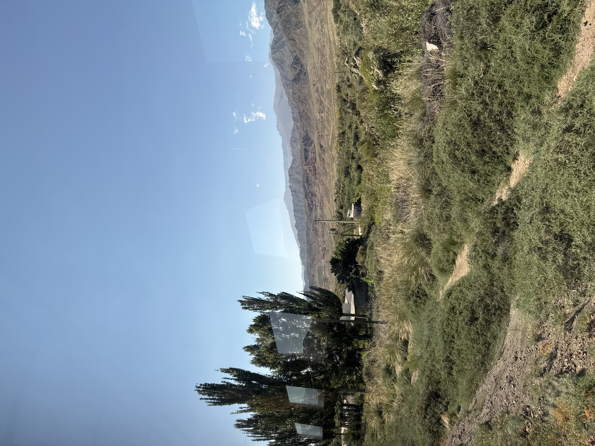 The image depicts a landscape scene, likely taken from a moving vehicle as indicated by reflections on glass. In the foreground, there are dry grasses and low-lying green shrubs. A dirt path winds through the vegetation. Several tall, slender trees with dense foliage are visible on the left side of the frame, with rectangular reflections on what appear to be panes of glass in front of them.
Further in the background, a semi-arid mountainous region unfolds under a clear blue sky with a few scattered white clouds. The mountains display layers of erosion and varying shades of brown and gray. A small, light-colored structure with a dark roof is situated among the vegetation in the middle ground, next to a utility pole. Power lines can be seen stretching across the landscape. The overall environment suggests a rural or natural setting. The location is identified as being in the city of Unknown, Kyrgyzstan.